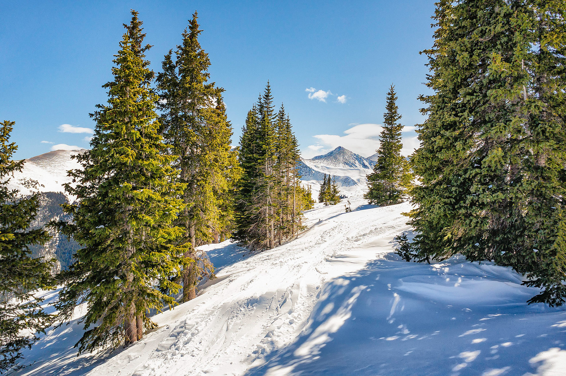 The afternoon sun casts its long shadows on the snow and lights lodge-pole pine trees on the slopes of Copper Mountain, Colorado, USA. In the distance, is Peak 8 from the neighbouring Breckenridge ski resort at 12,990 feet, (3,960 m). It is one of the peaks on the Ten Mile Range.