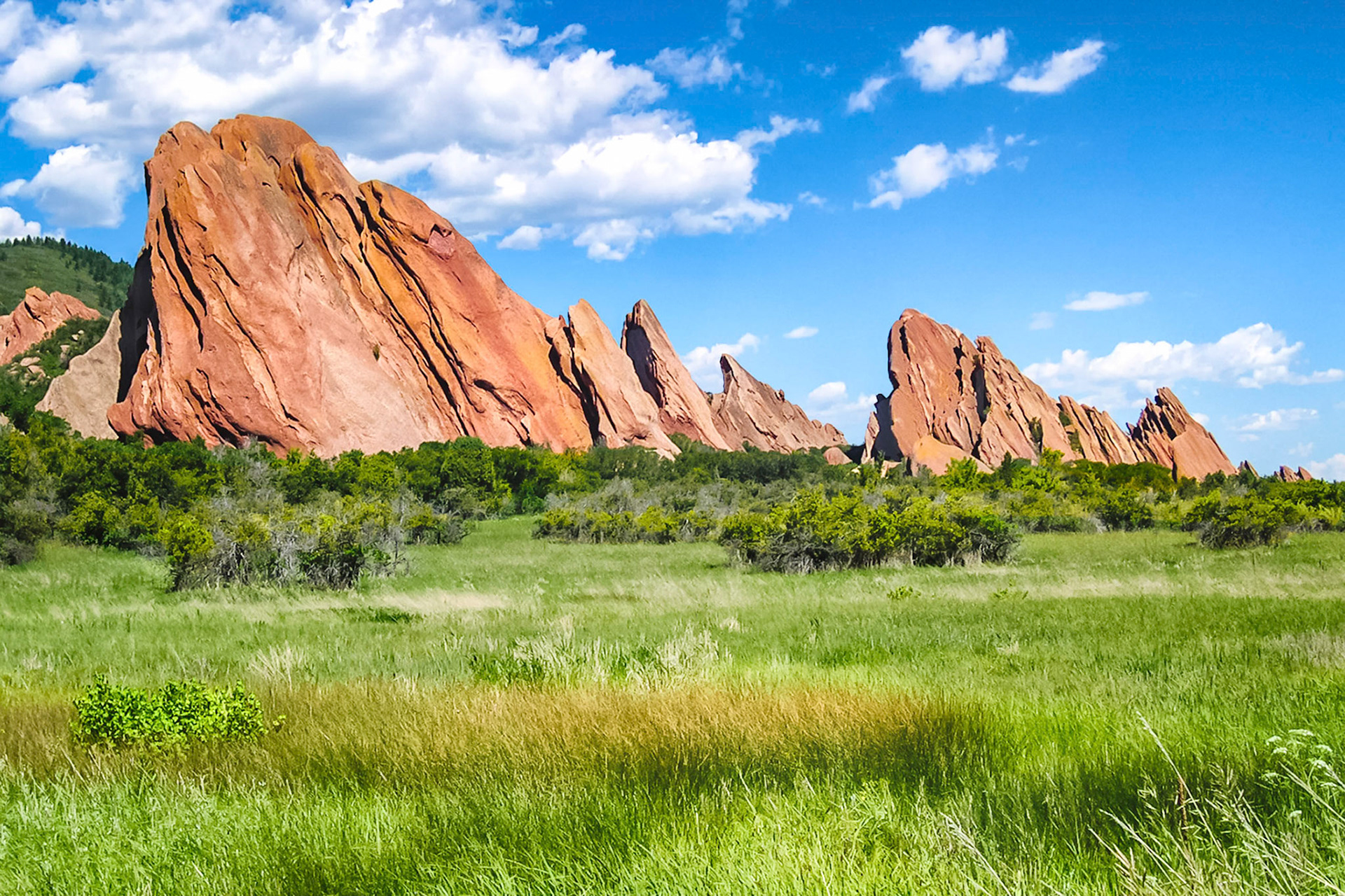 Over 300 million years old, these tilted and eroded sandstone strata are known as "Flat Irons" of Roxborough State Park. Located along the foothills of the Rocky Mountains near Denver, Colorado, USA, the region supports a varied ecosystem of Pinyion Pines, grasslands and wetlands.
