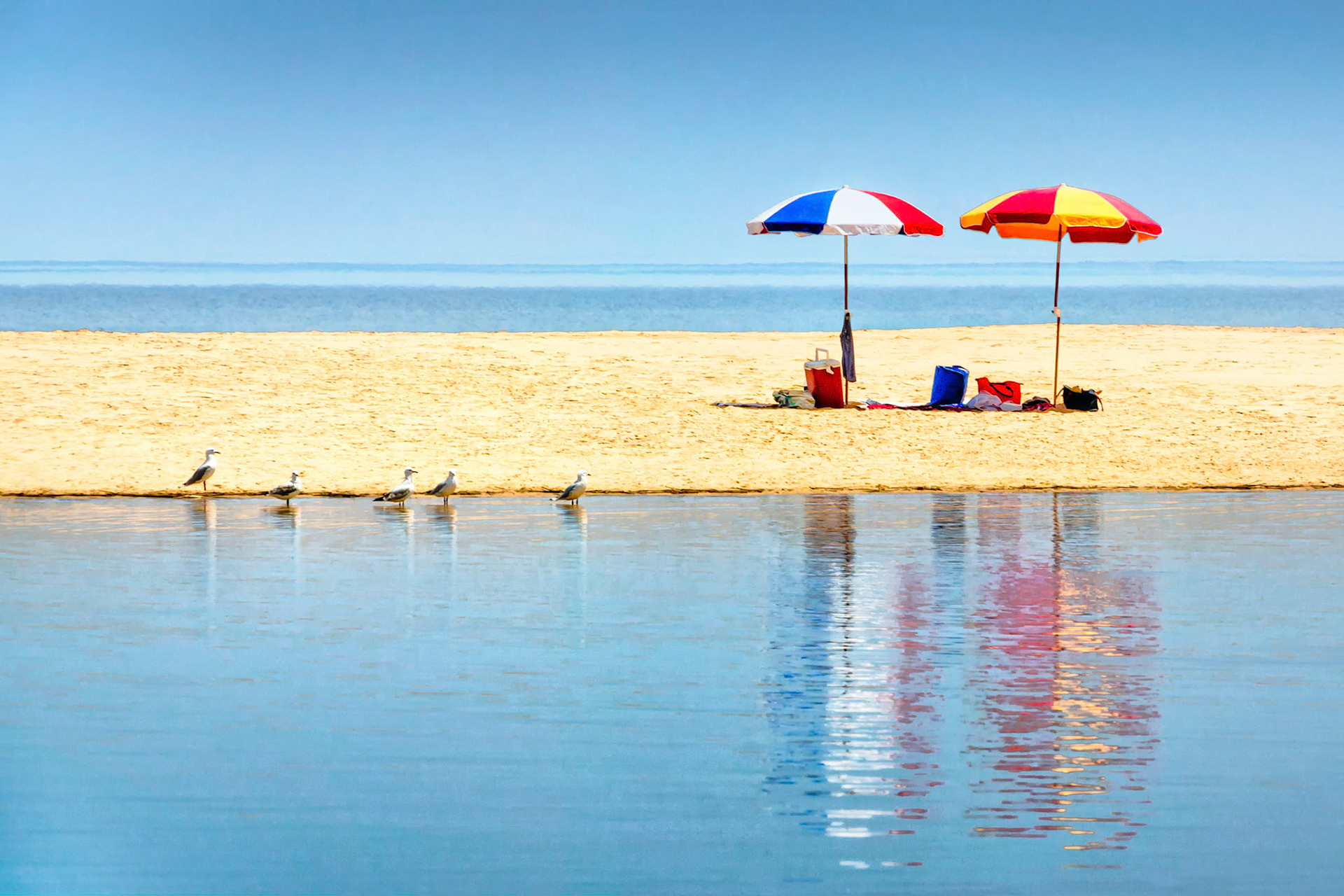 Ever hopeful in their search for food, a group of seagulls advances on an unguarded picnic site. This sandbar at the mouth of the Aire River, provides an ideal spot to have a picnic on a hot, clear day. In the distance, a mirage shimmers on the uncommonly placid Bass Strait waters.