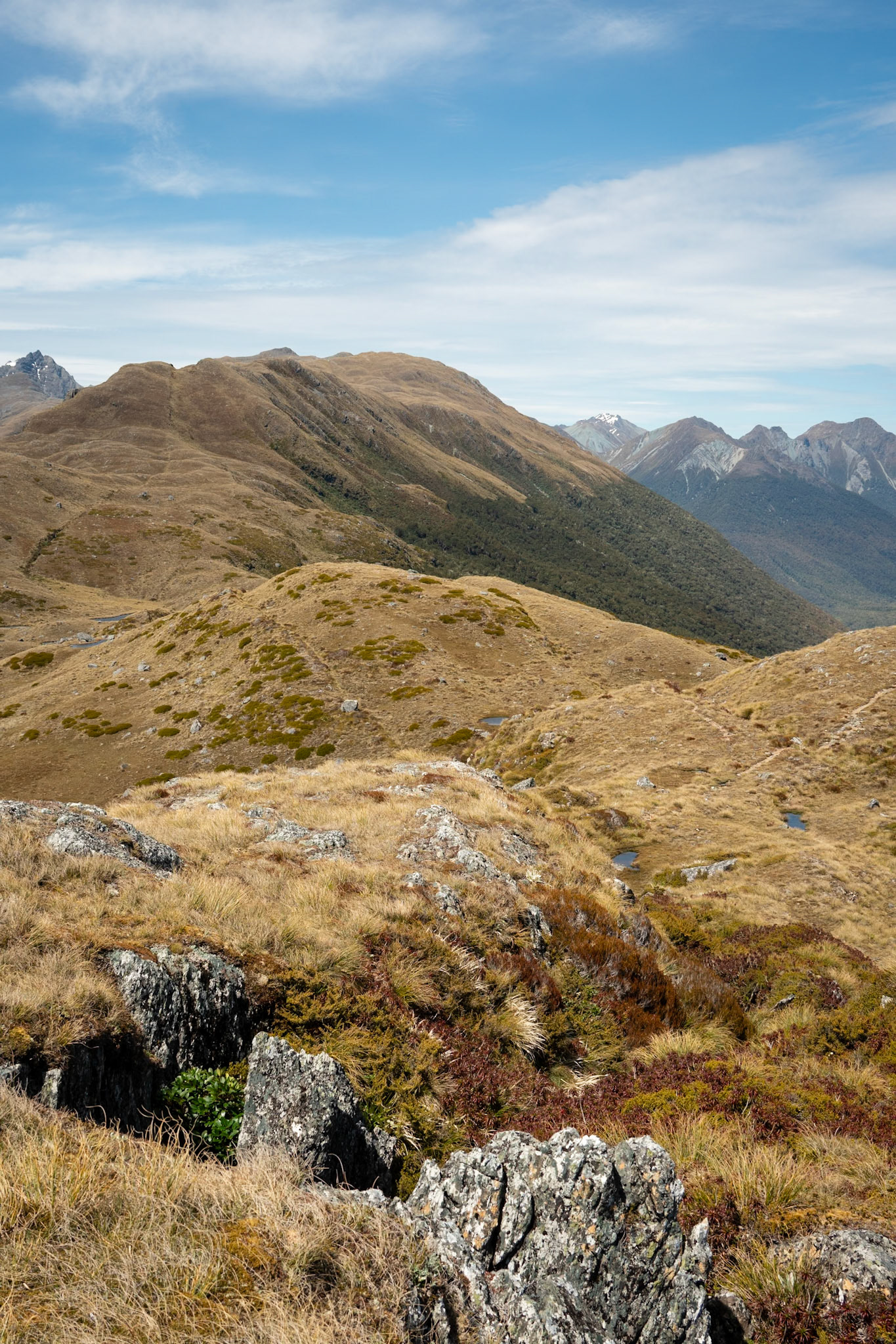 Obvious fault scarp of the Livingstone fault