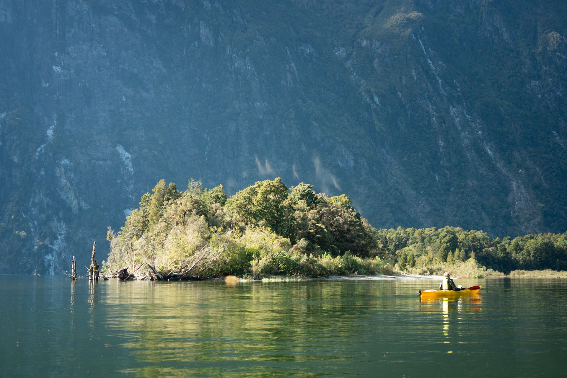 Clouds of sandflies above the bush