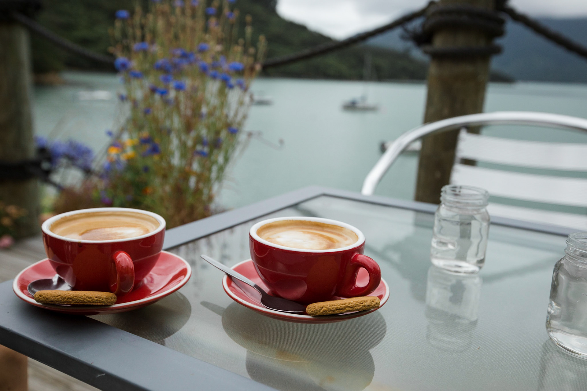 A welcome coffee at Te Mahia Lodge, with a classic Gingernut to dunk!
