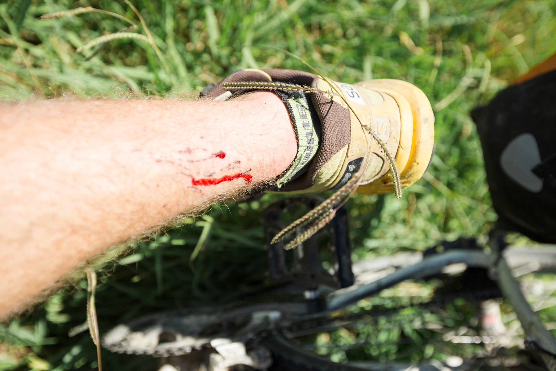 Snagged by the pedal sprigs