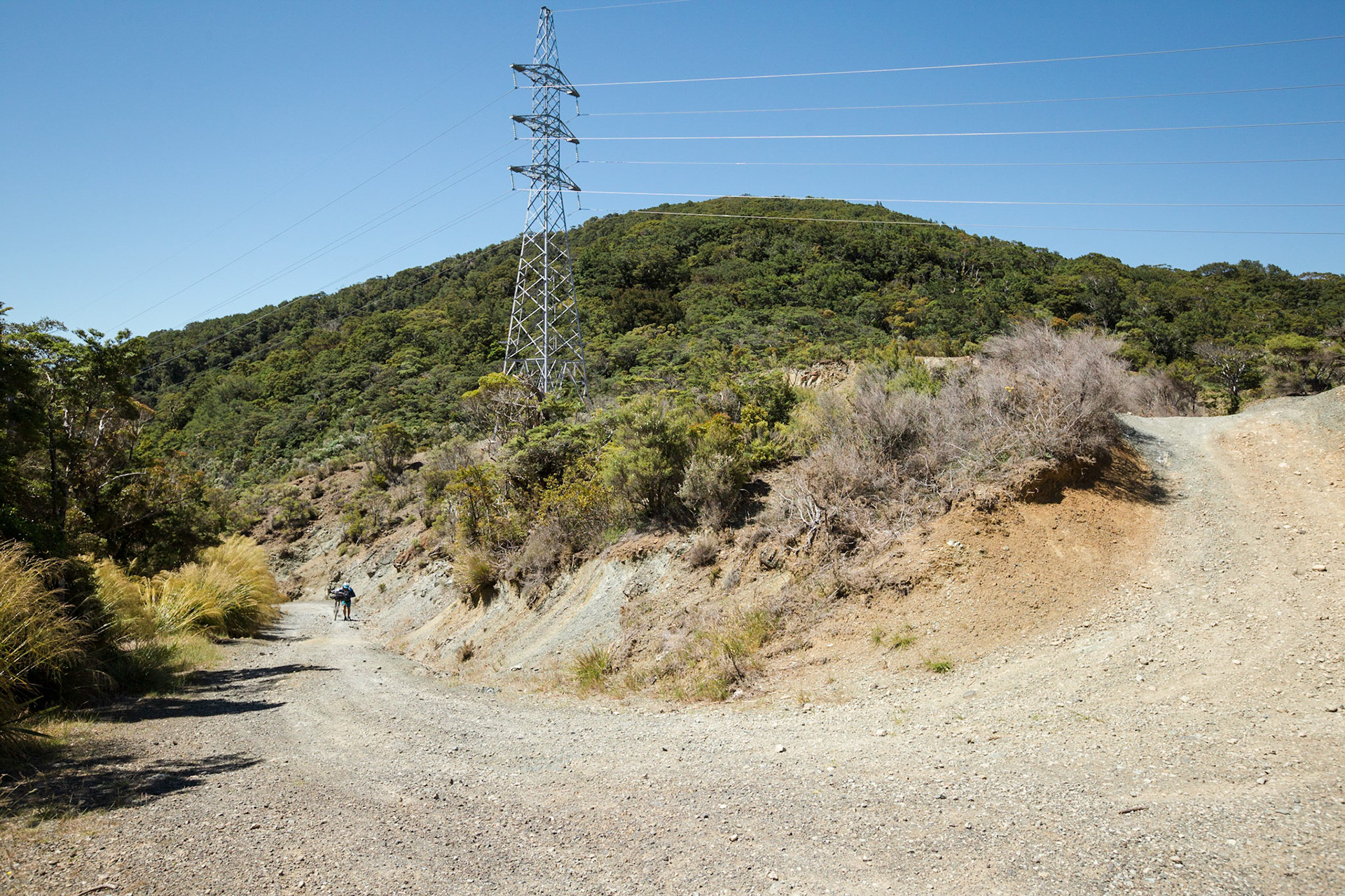 Maungatapu saddle with Michael from Germany