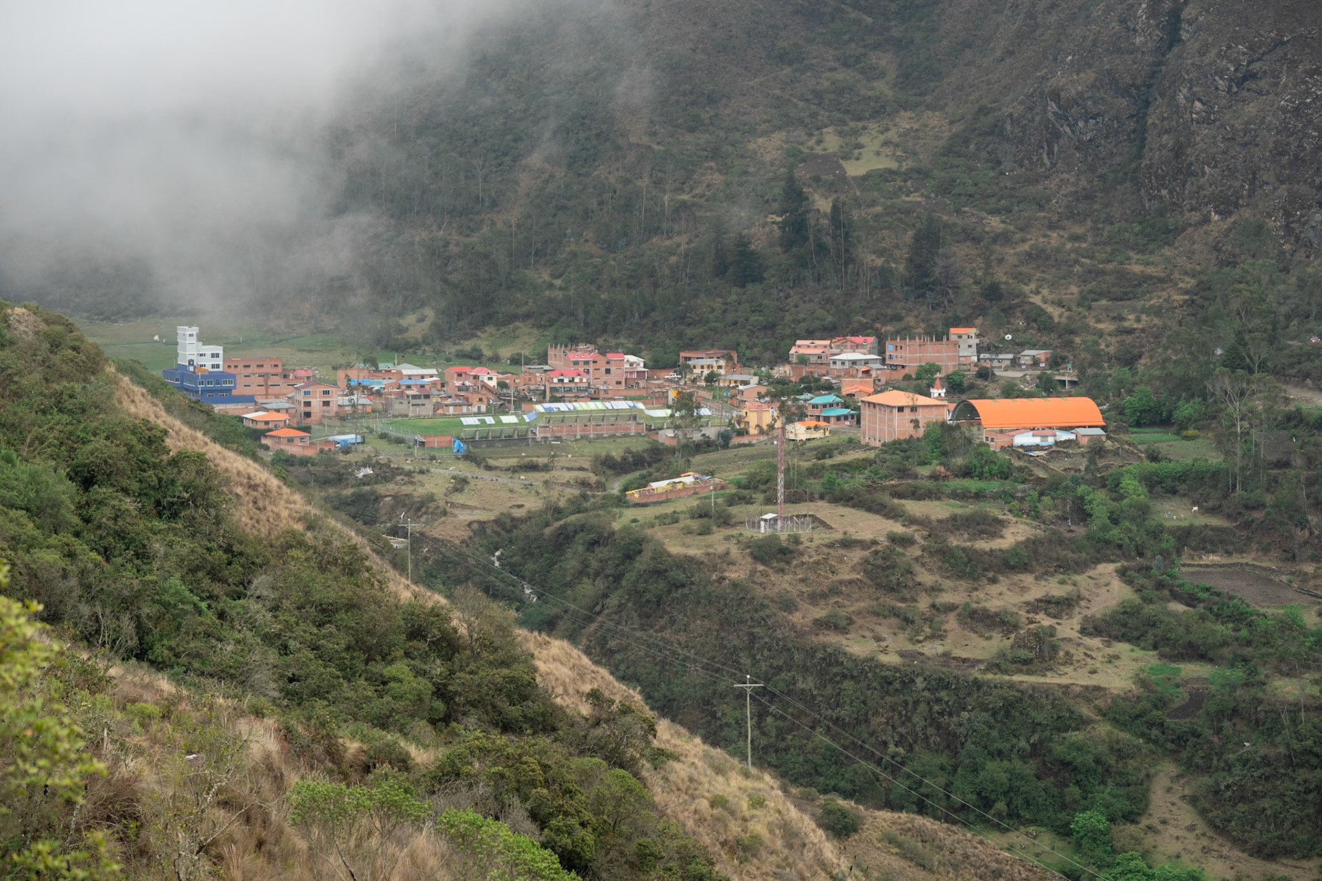 Totoral