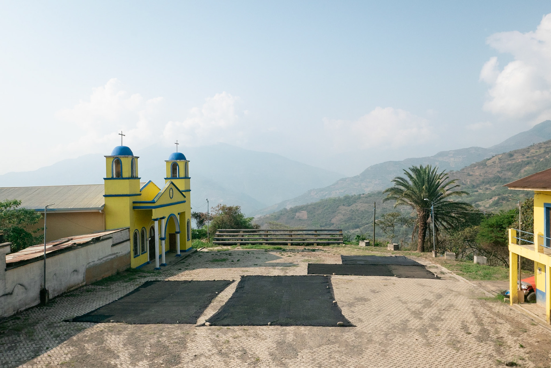 Coripata