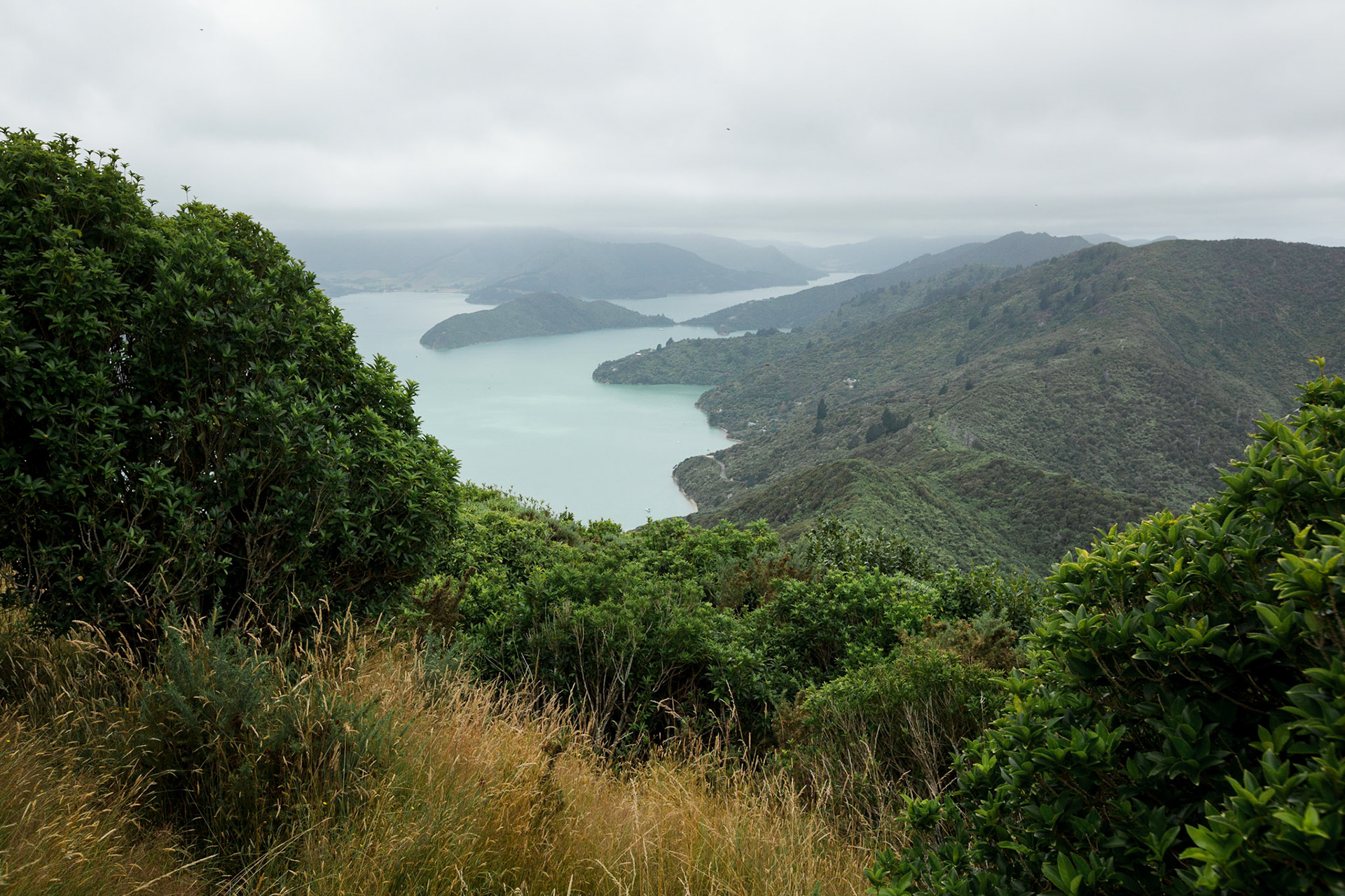 Onahau Lookout, on the Queen Charlotte Track