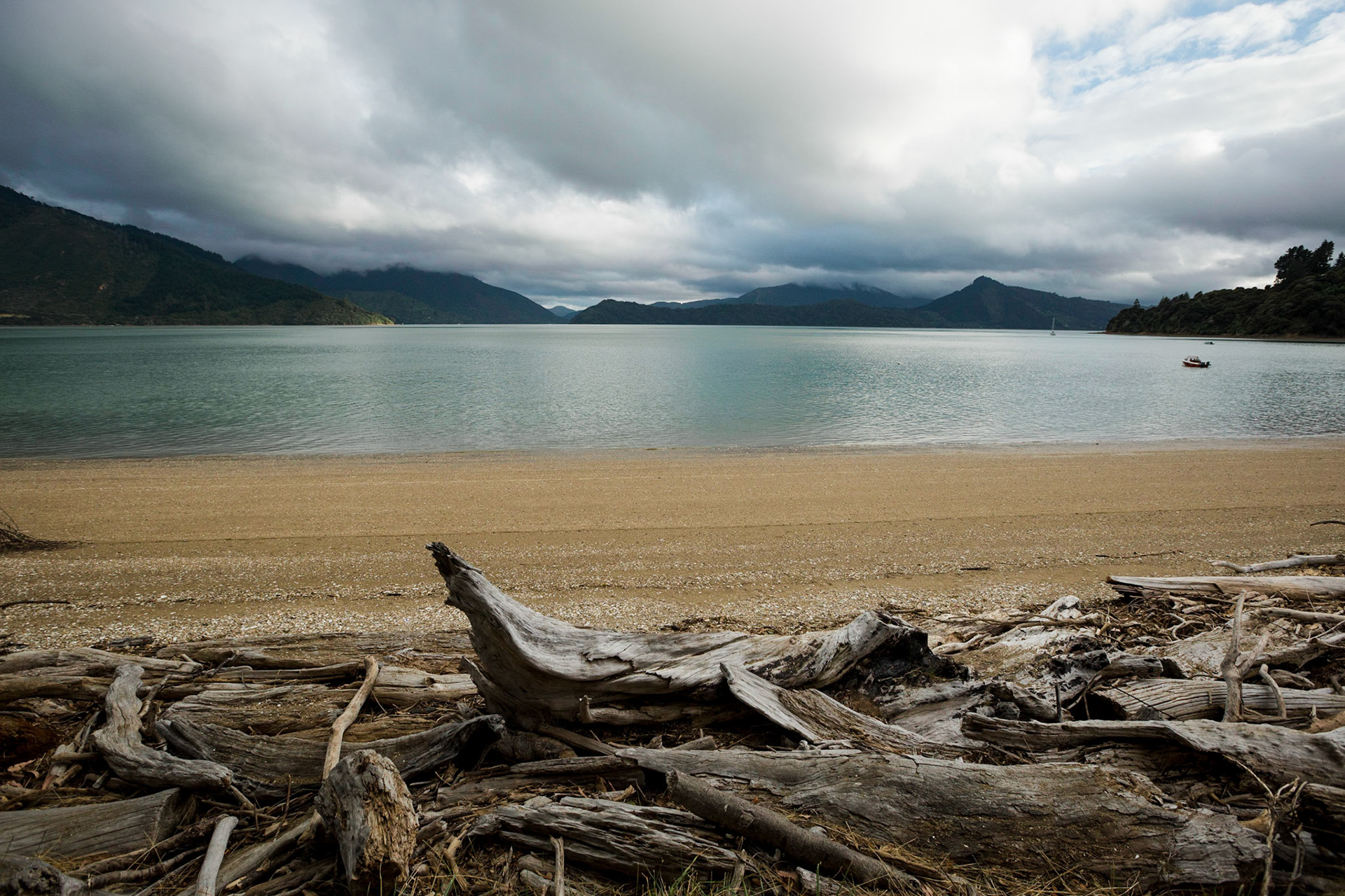 Catching a ride back to the Marlborough Sounds I went for a weekend detour to Kenepuru sound with Hazel