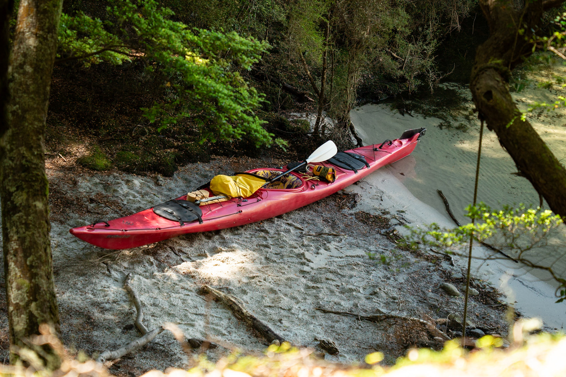 Portage, Surprise Bay, Manapouri