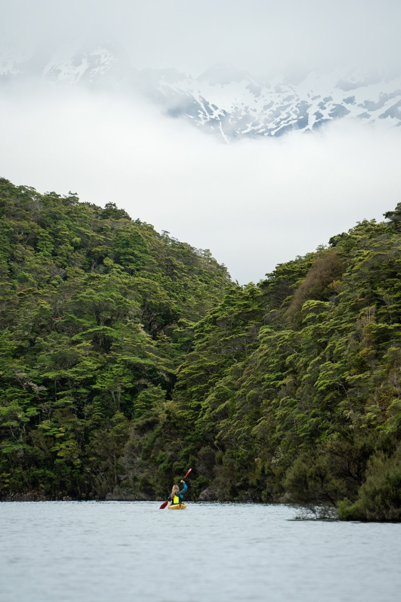 Surprise Bay, Manapouri