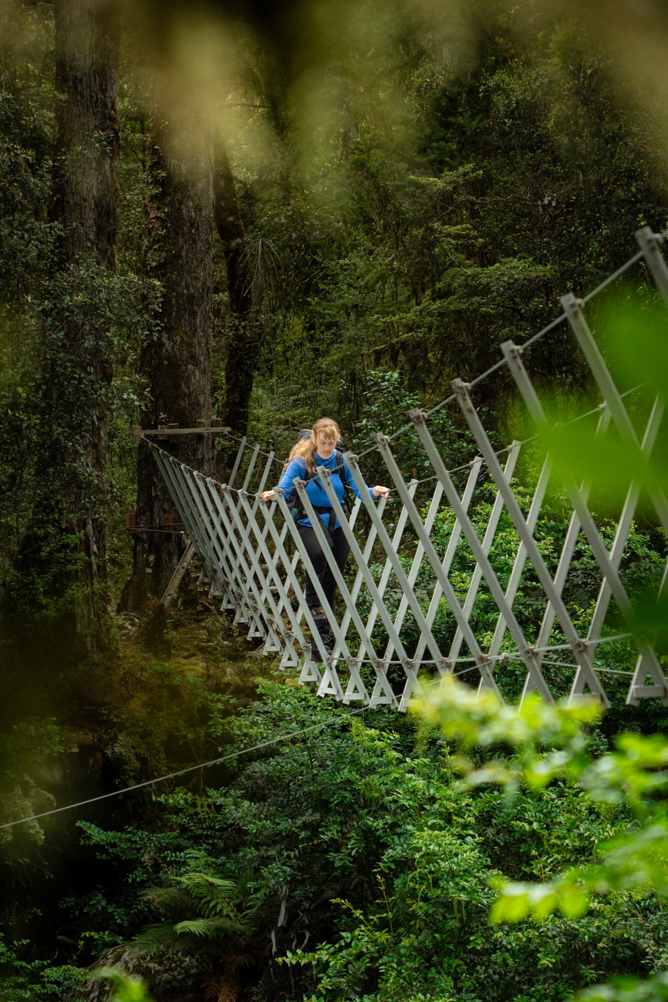 Moraine Creek Walkwire
