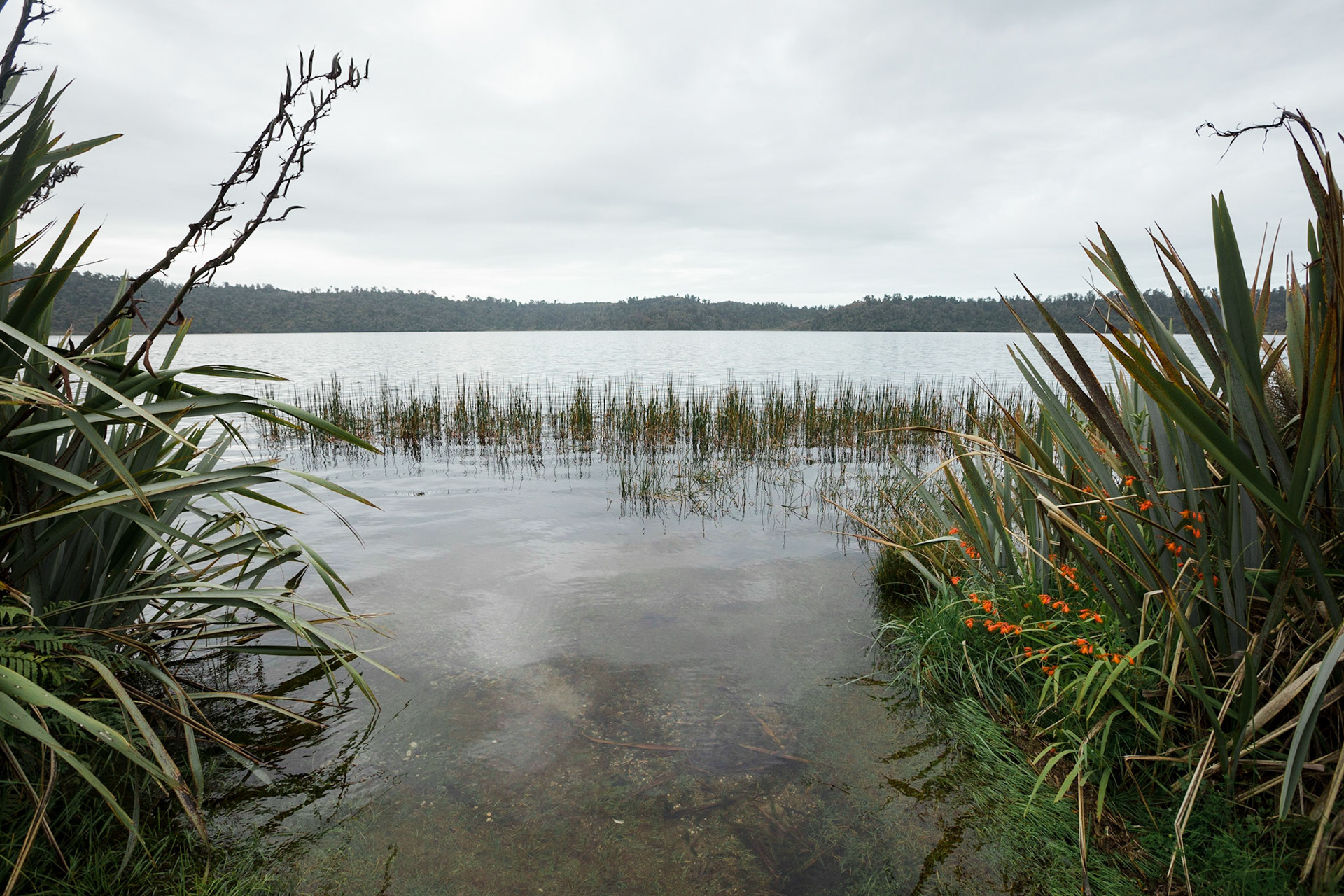 Lake Ianthe