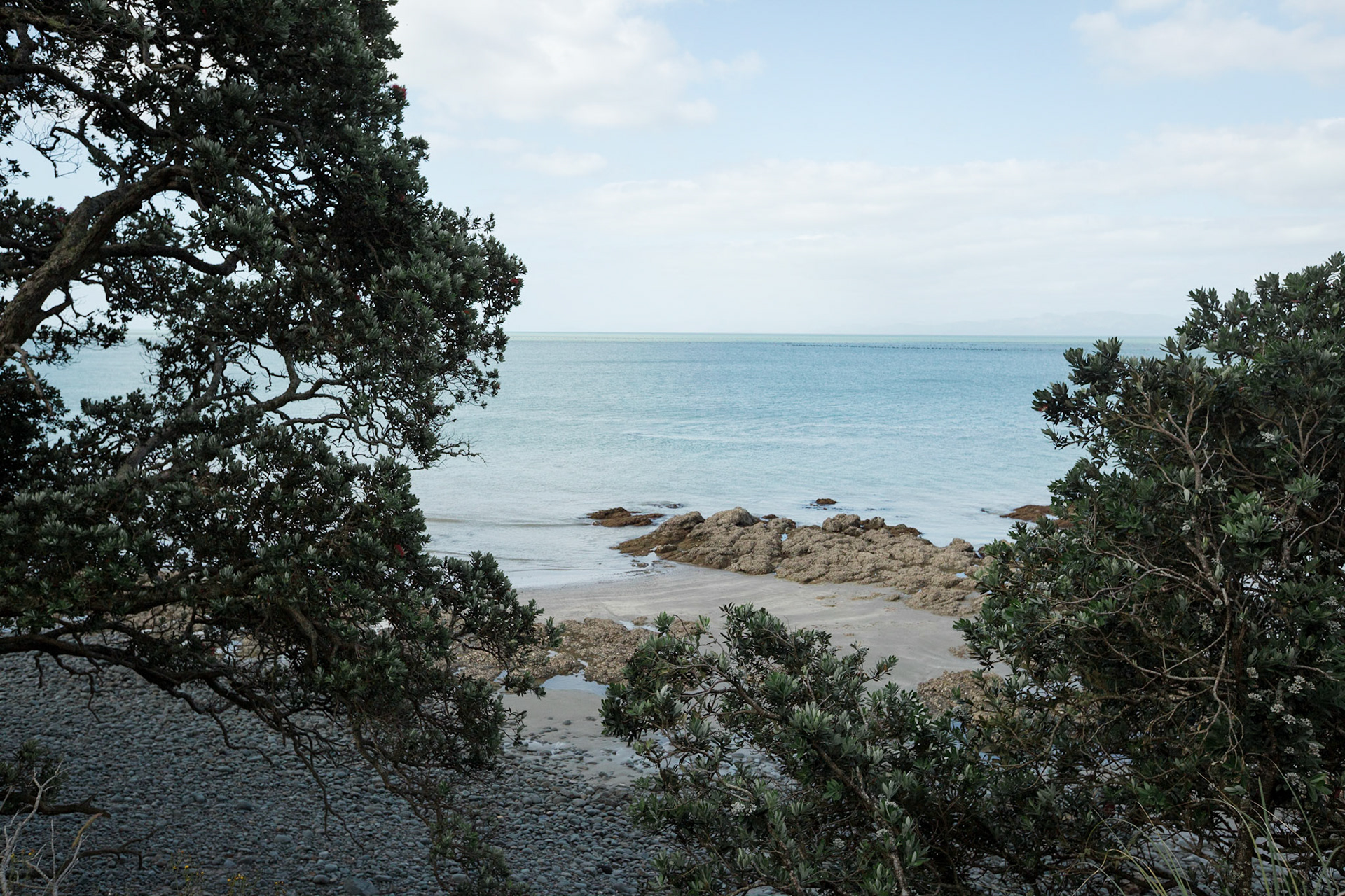 Kawakawa Bay