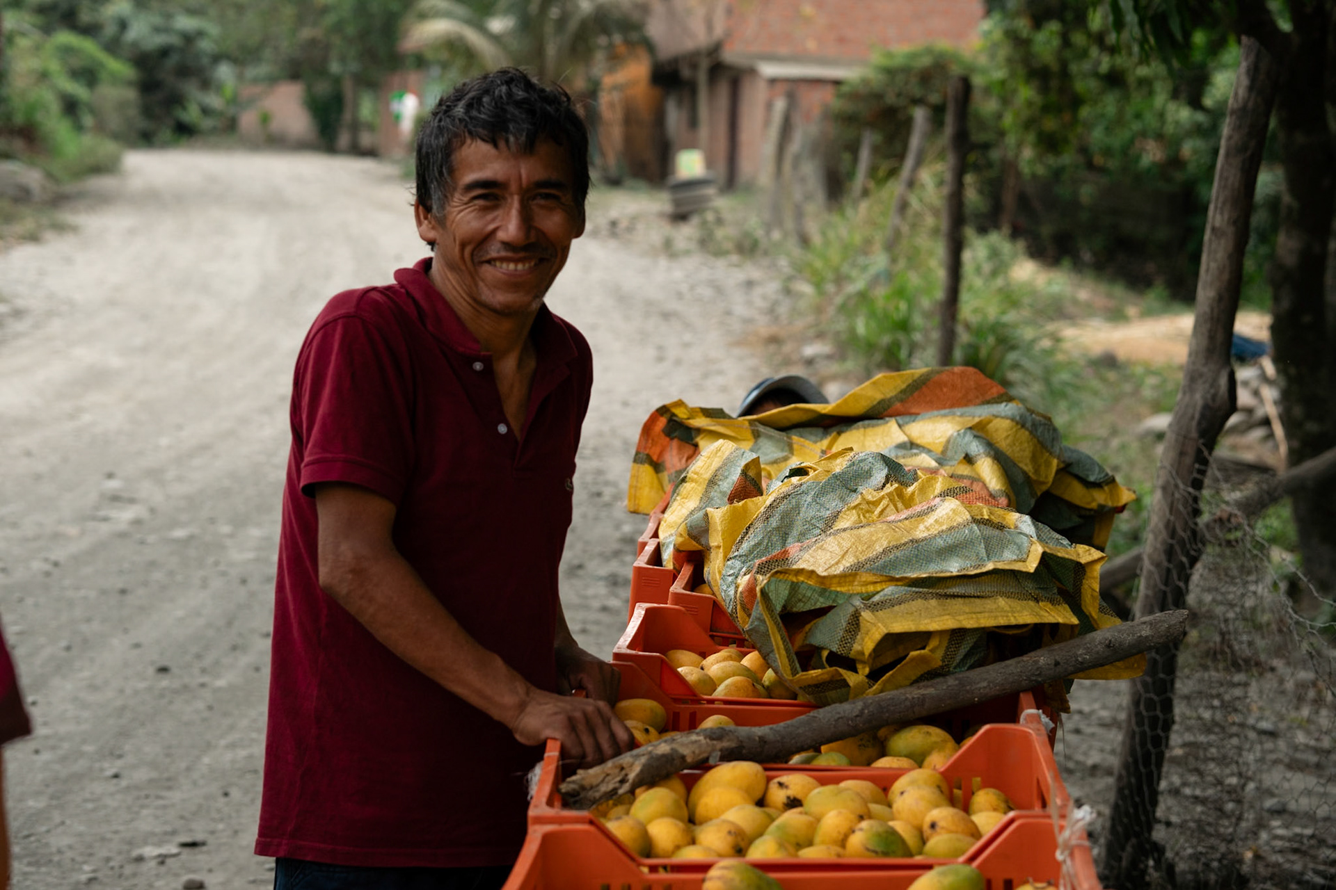 Mango farmer near La Plazuela