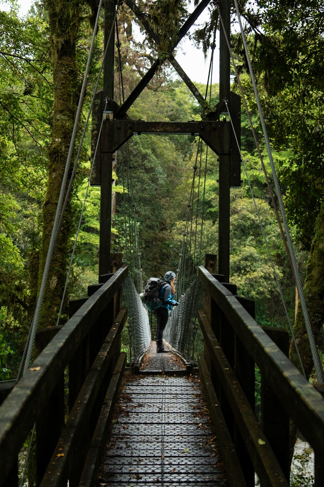 Hollyford Swingbridge