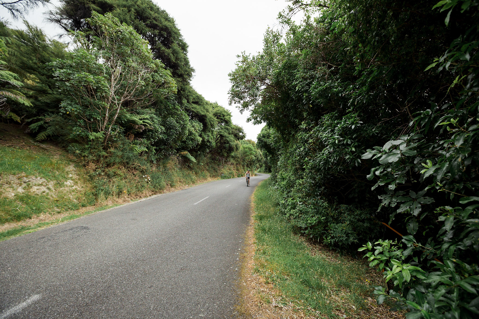 Kenepuru Sound provided fantastic roads for touring with gently undulating hills, endless idyllic bays, Kanuka forest and the occasional friendly traffic.