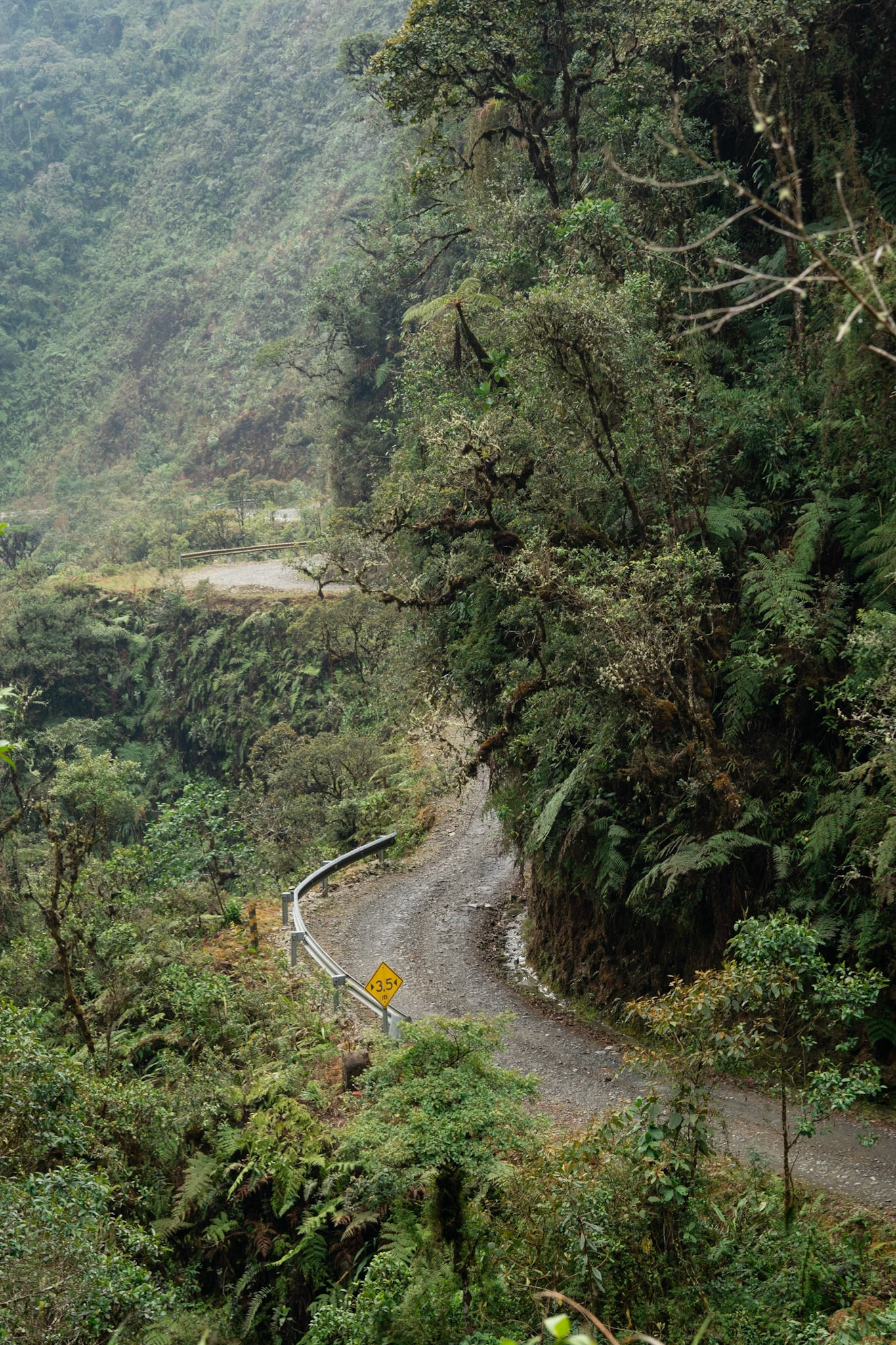 El Camino de la Muerte 