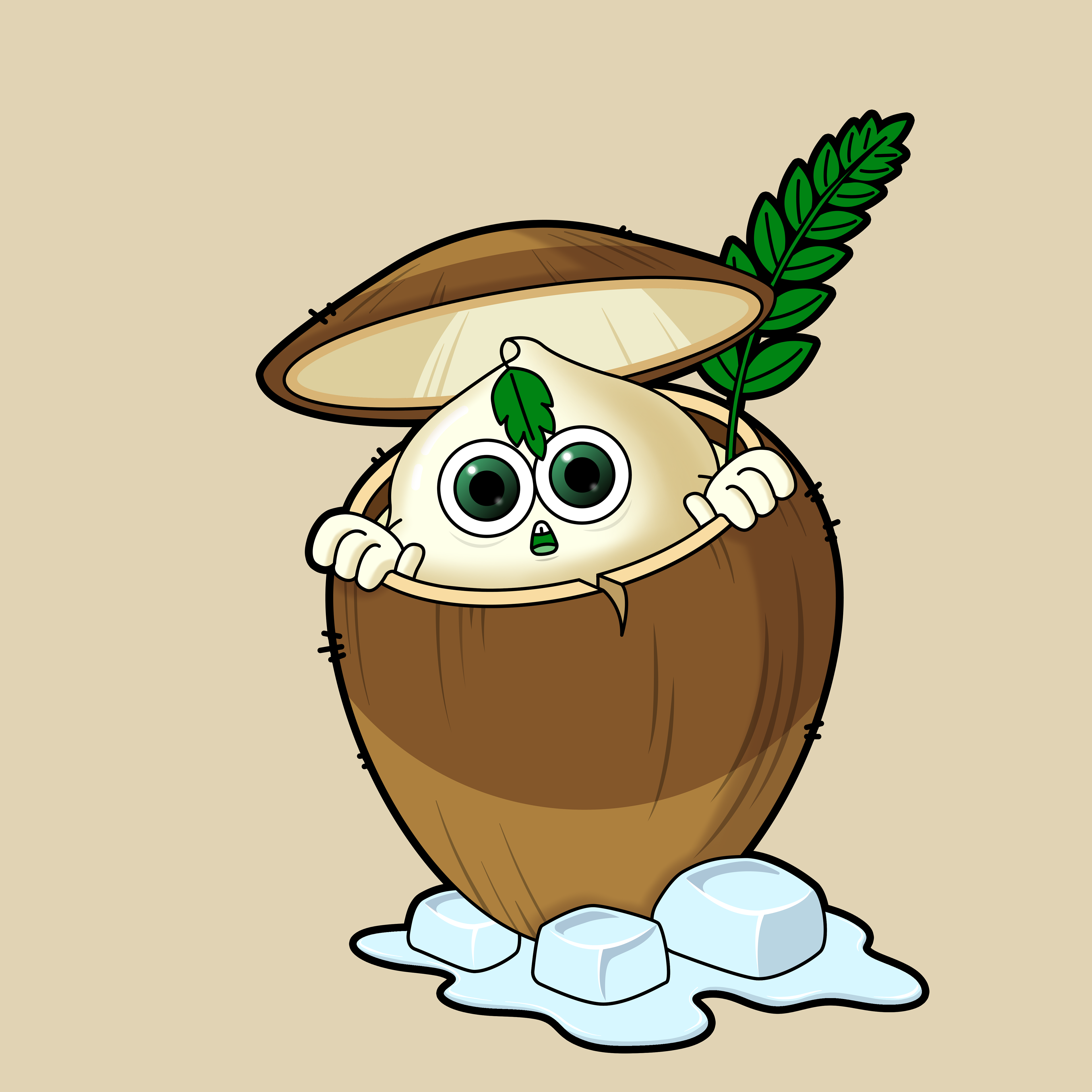COCO nut