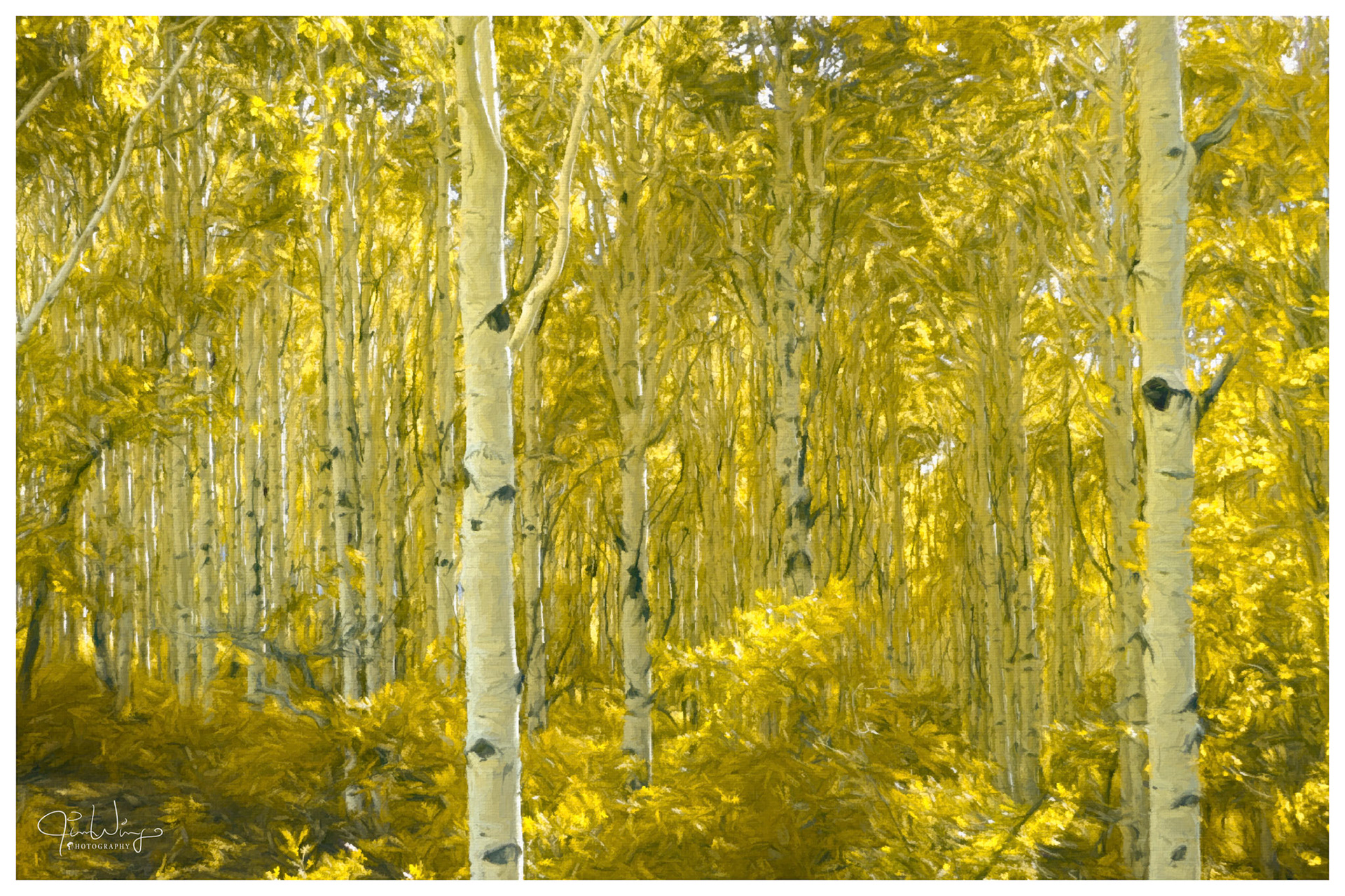 DurangoAspens