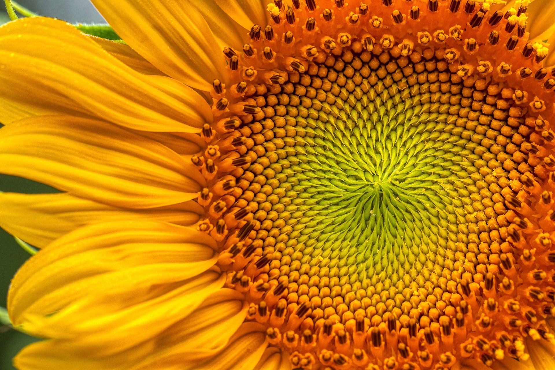 Like the sun