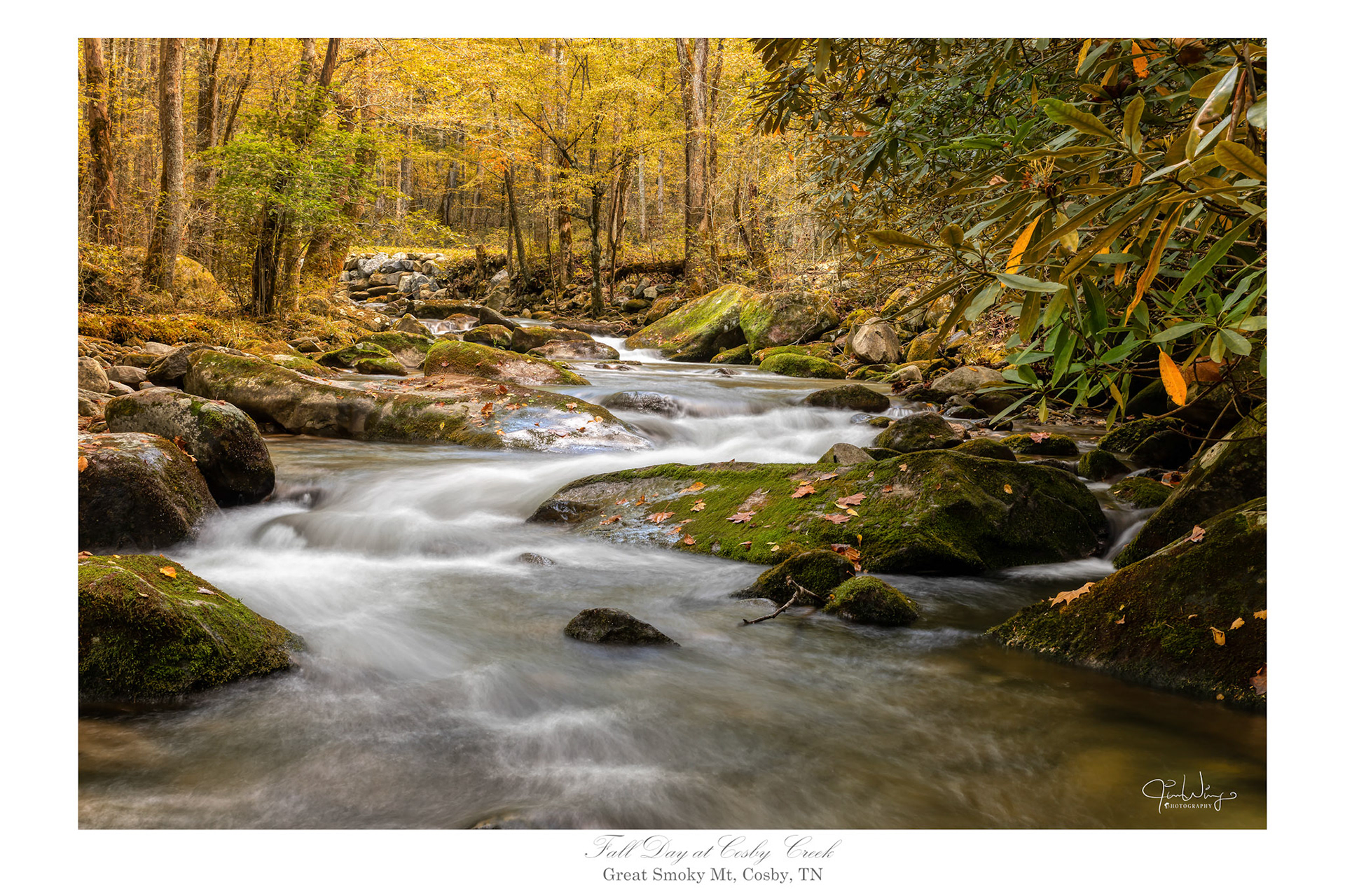 Fall day at Cosby Creek