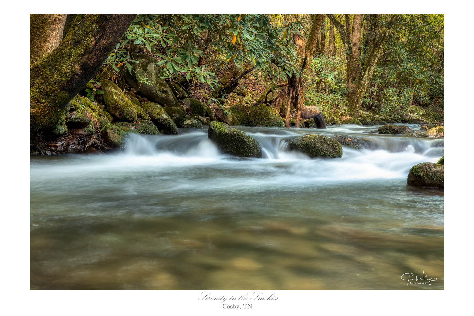 Serenity in the Smokies