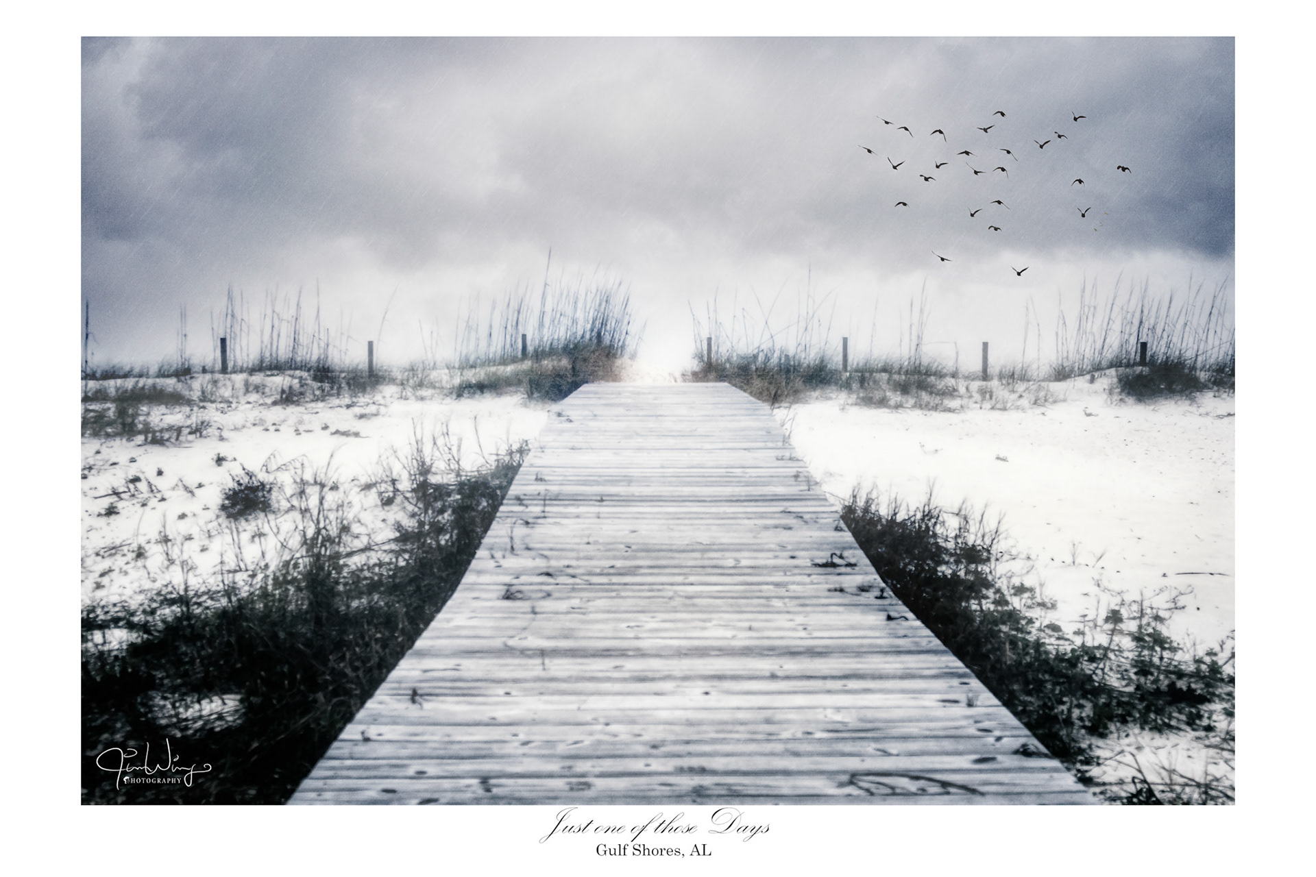 Just one of those Days