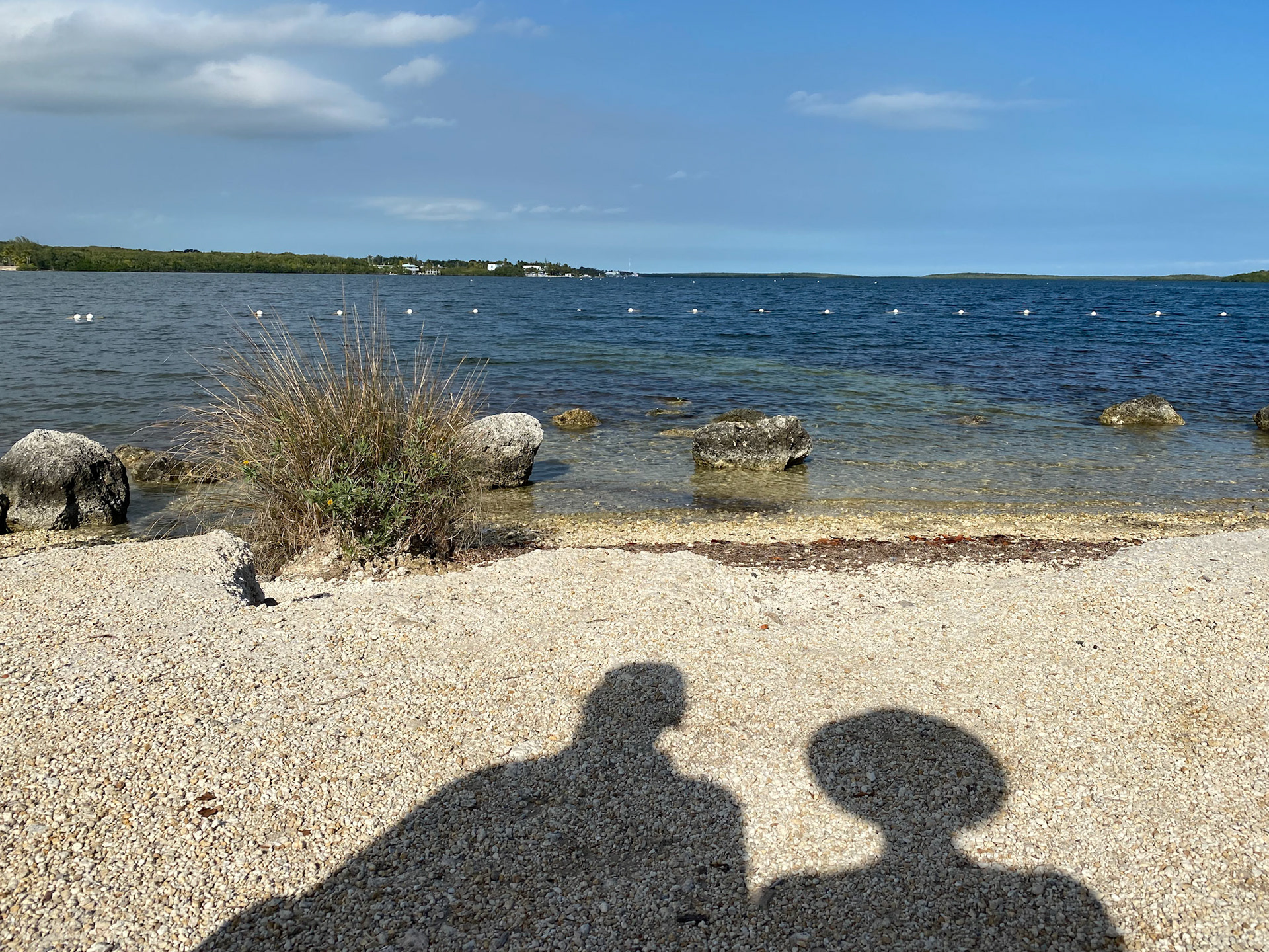 Sitting on a bench at the beach