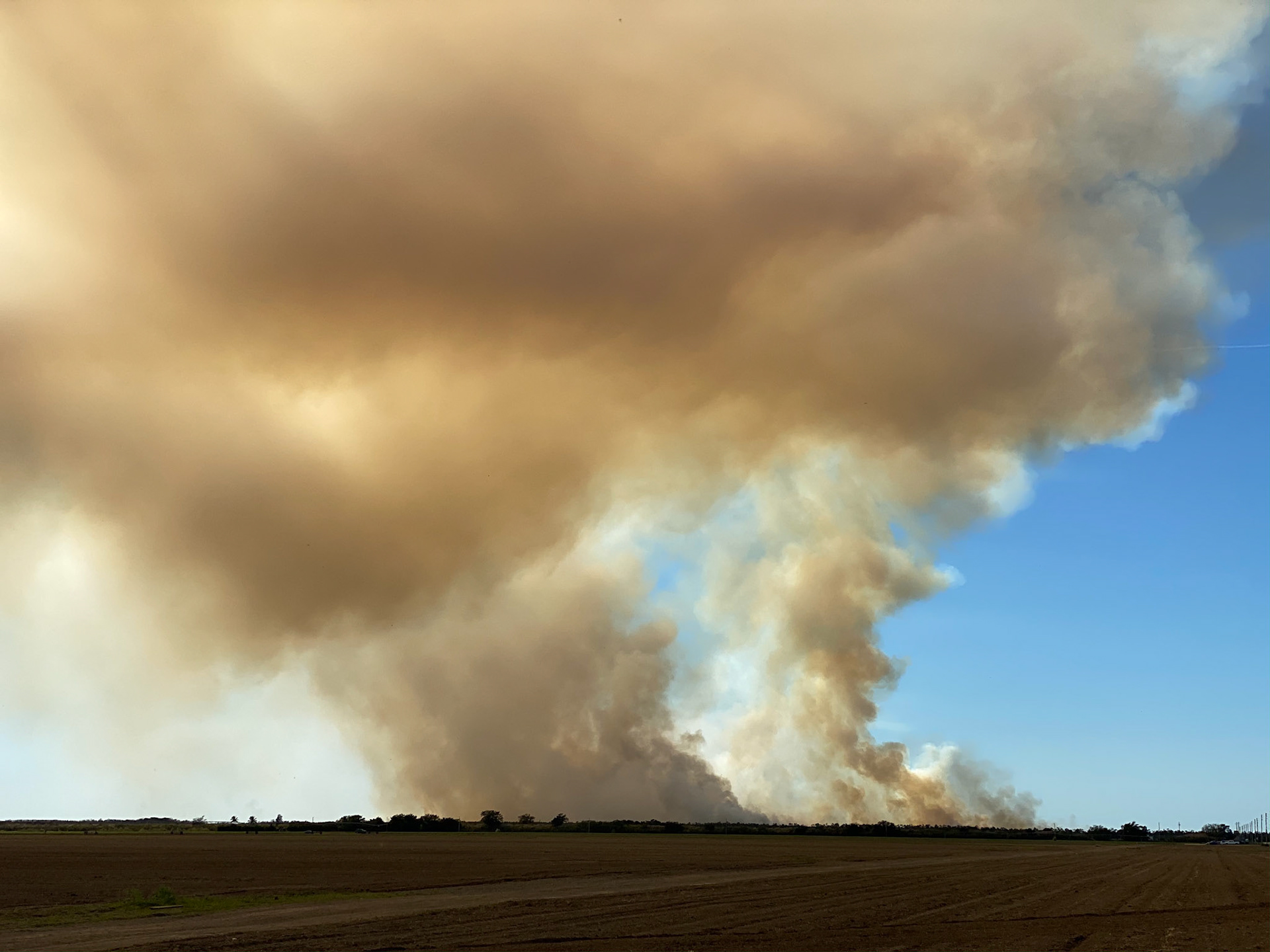 Rx Fire in Everglades - from about 5 miles away
