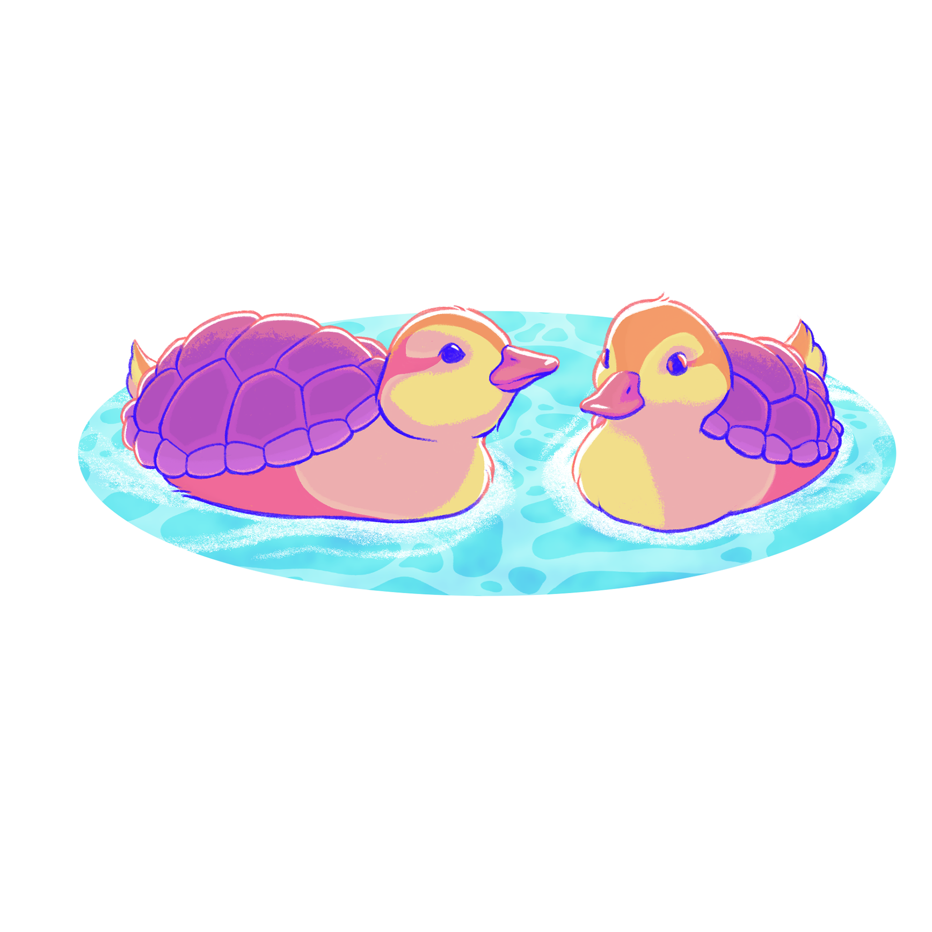 Turtle Ducks