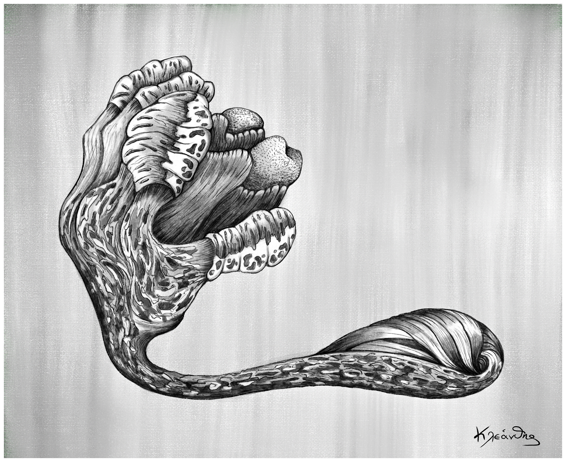 "Handy Tooth" - 2021