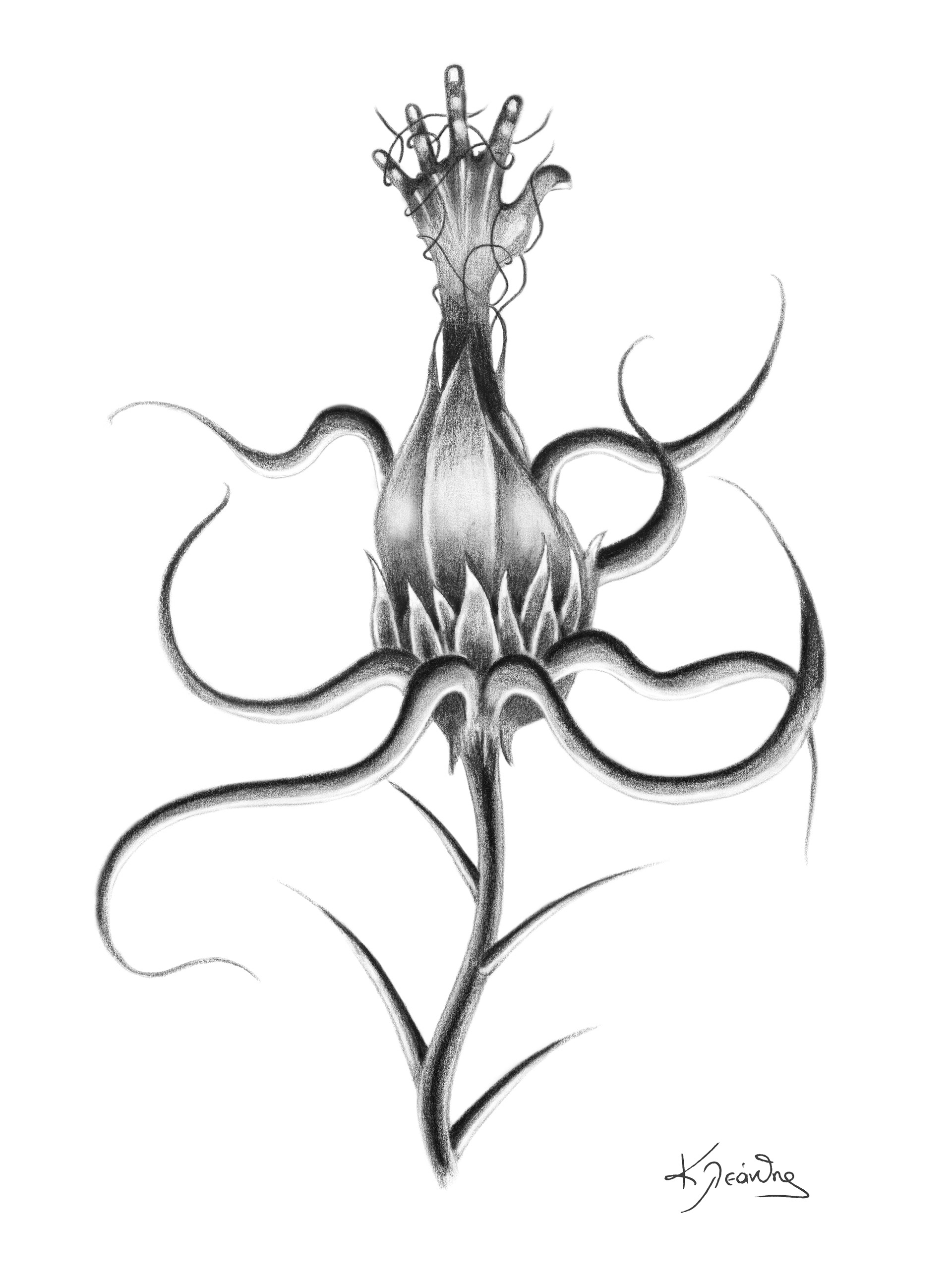 "Angry Flower" - 2014