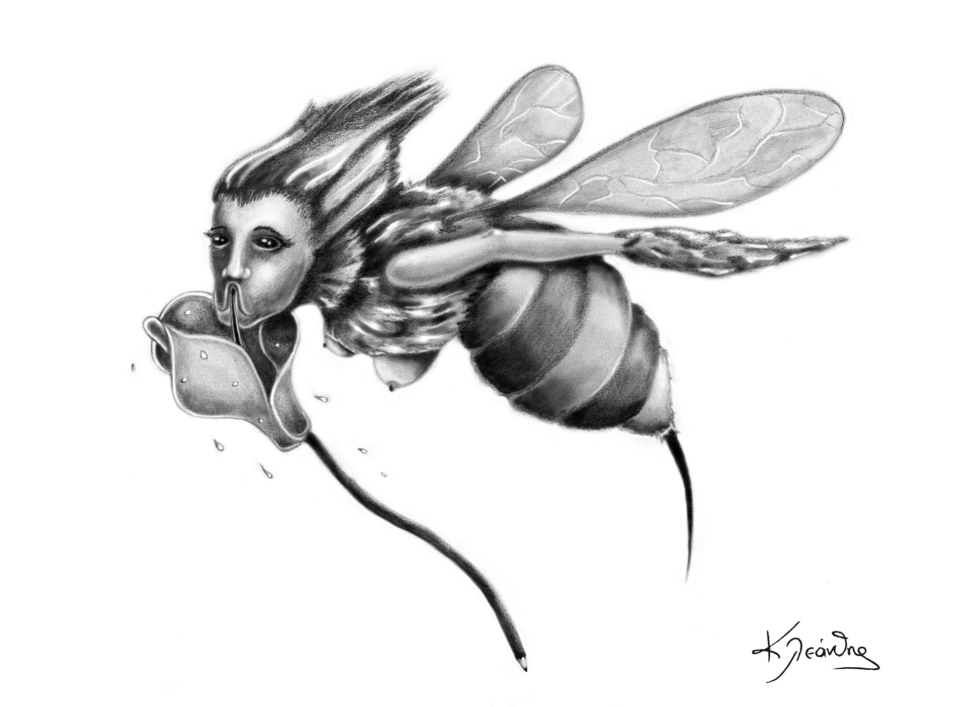 "Bee" - 2014