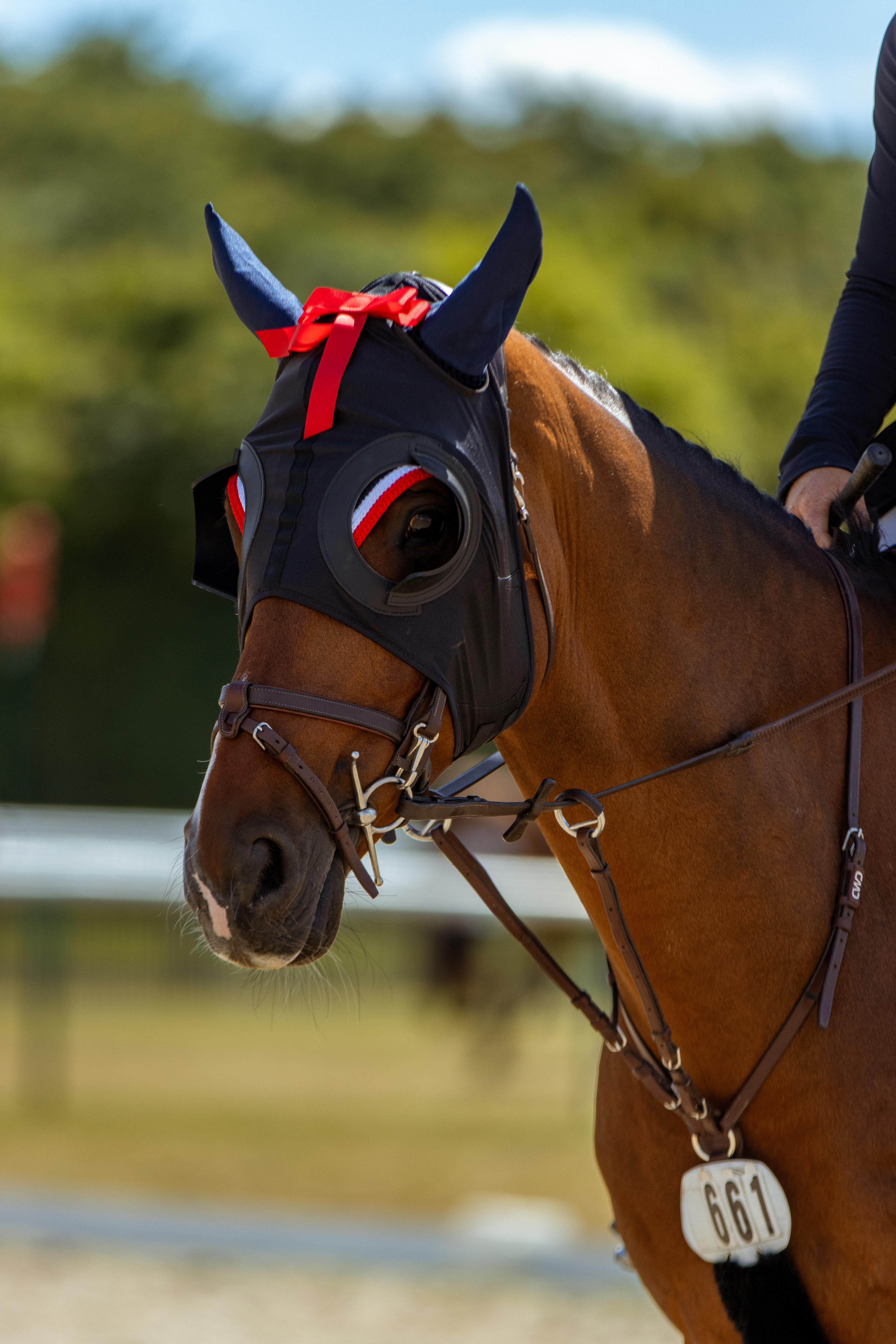 Chantilly Classic - Juillet 2025