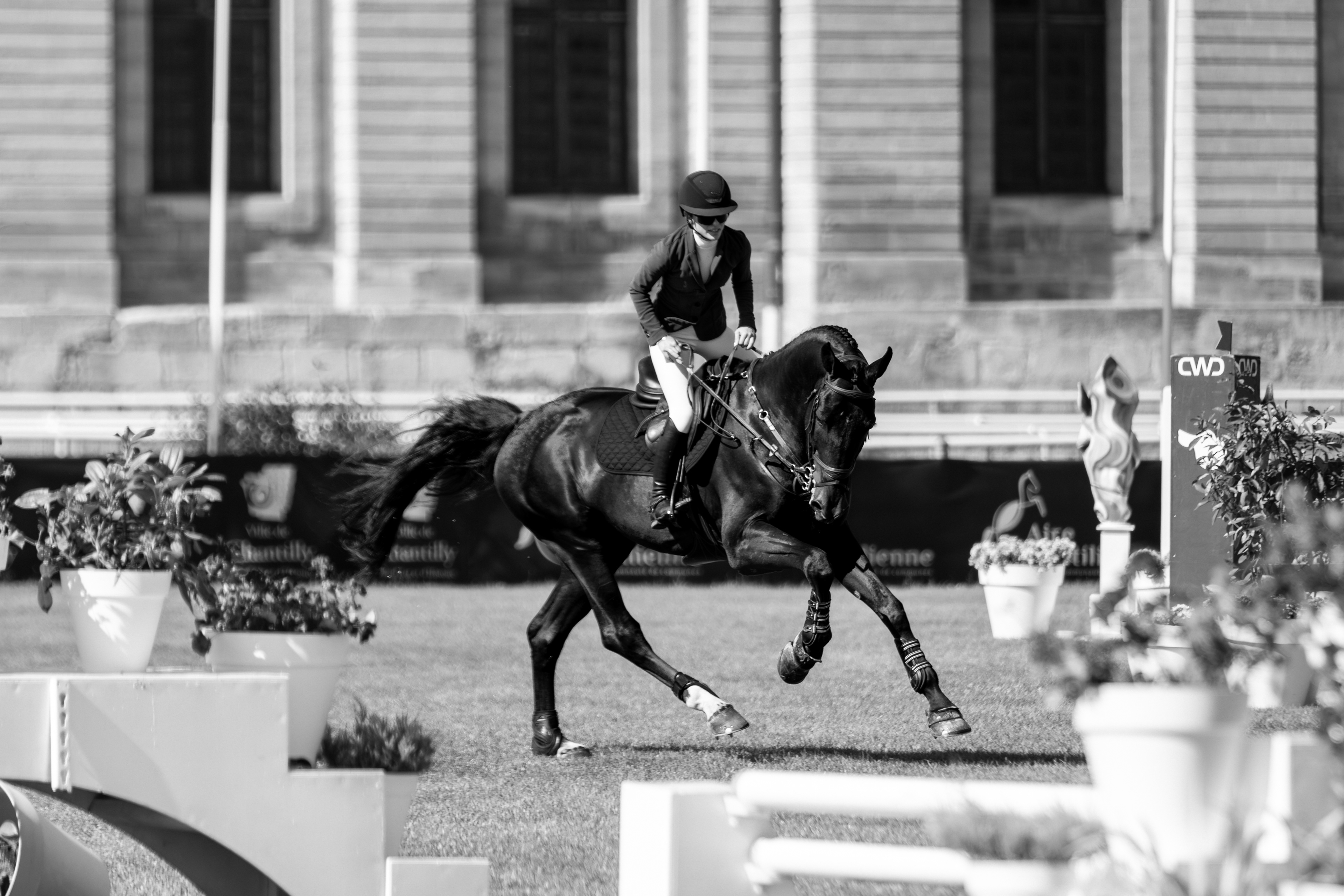 Chantilly Classic - Juillet 2025