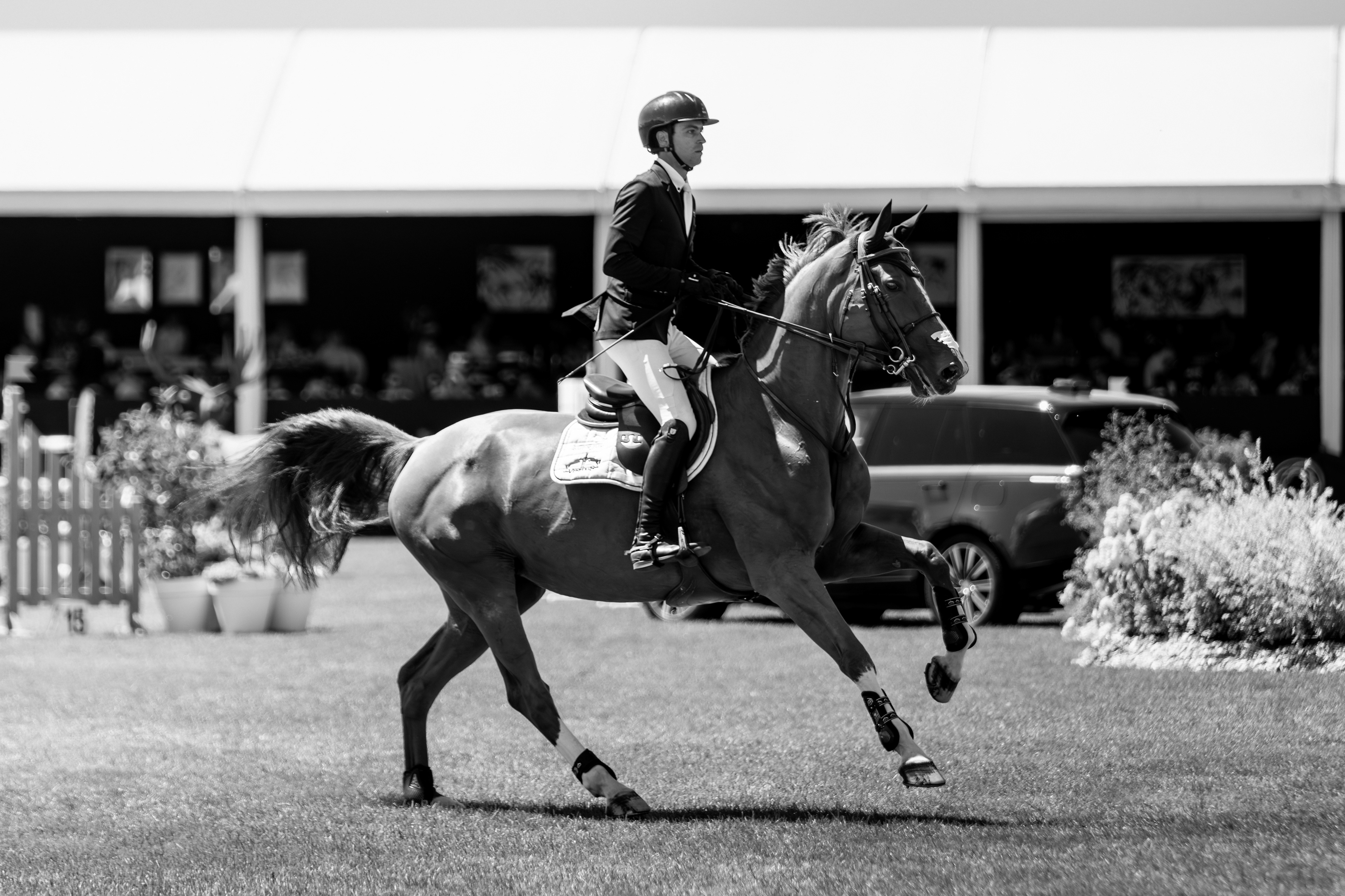 Edouard Levy - Chantilly Classic - Juillet 2025