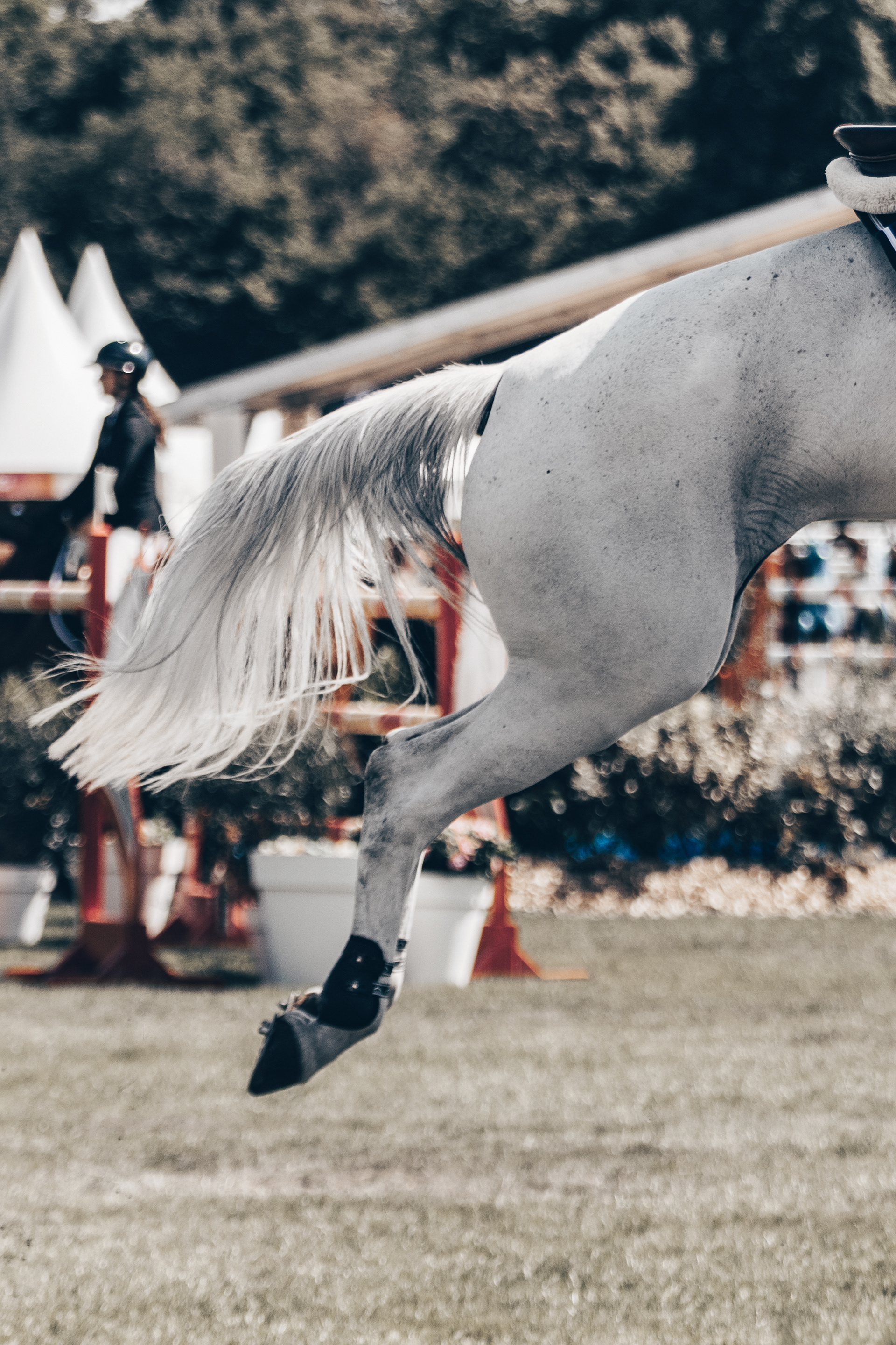 Chantilly Classic - Juillet 2025
