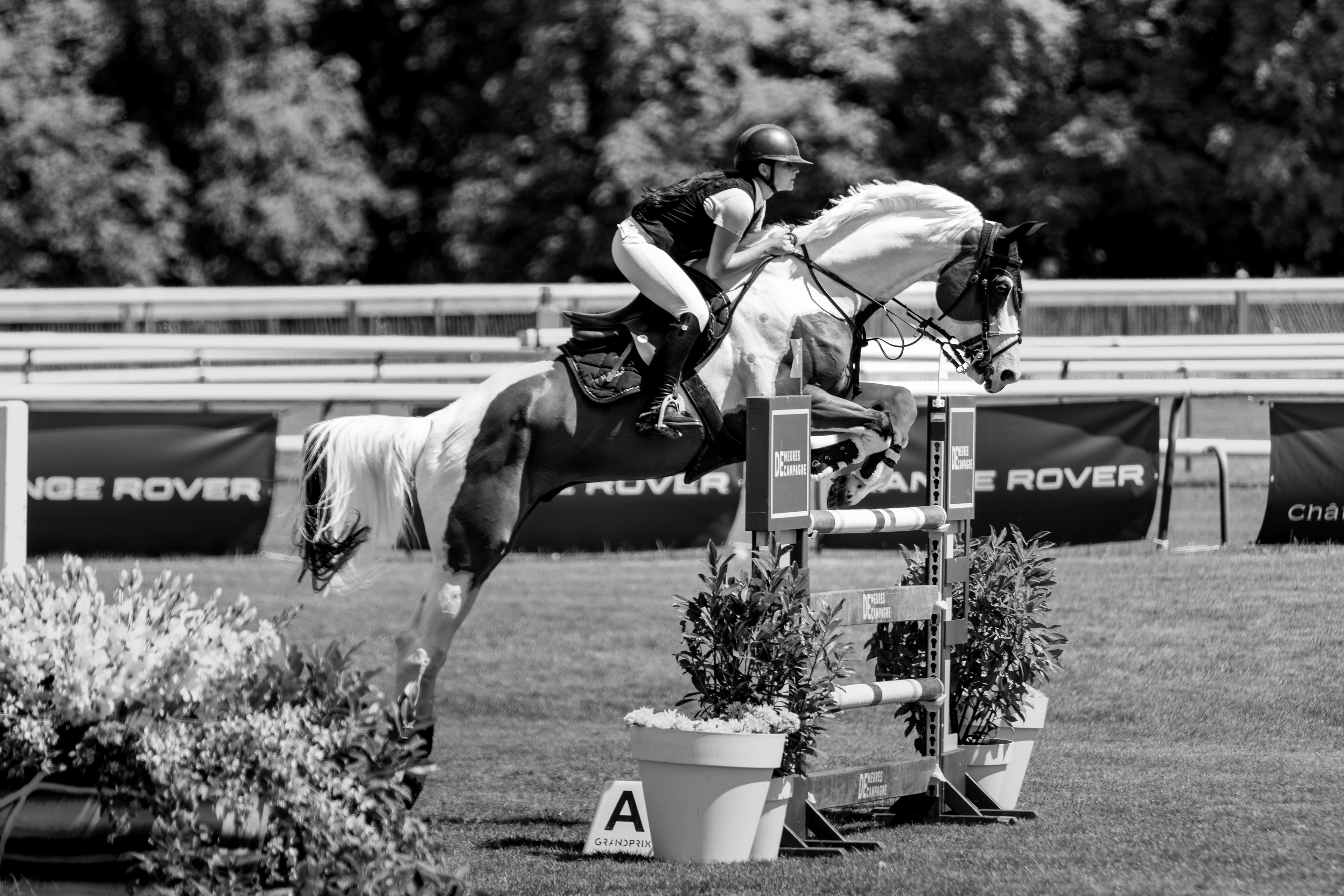 Chantilly Classic - Juillet 2025