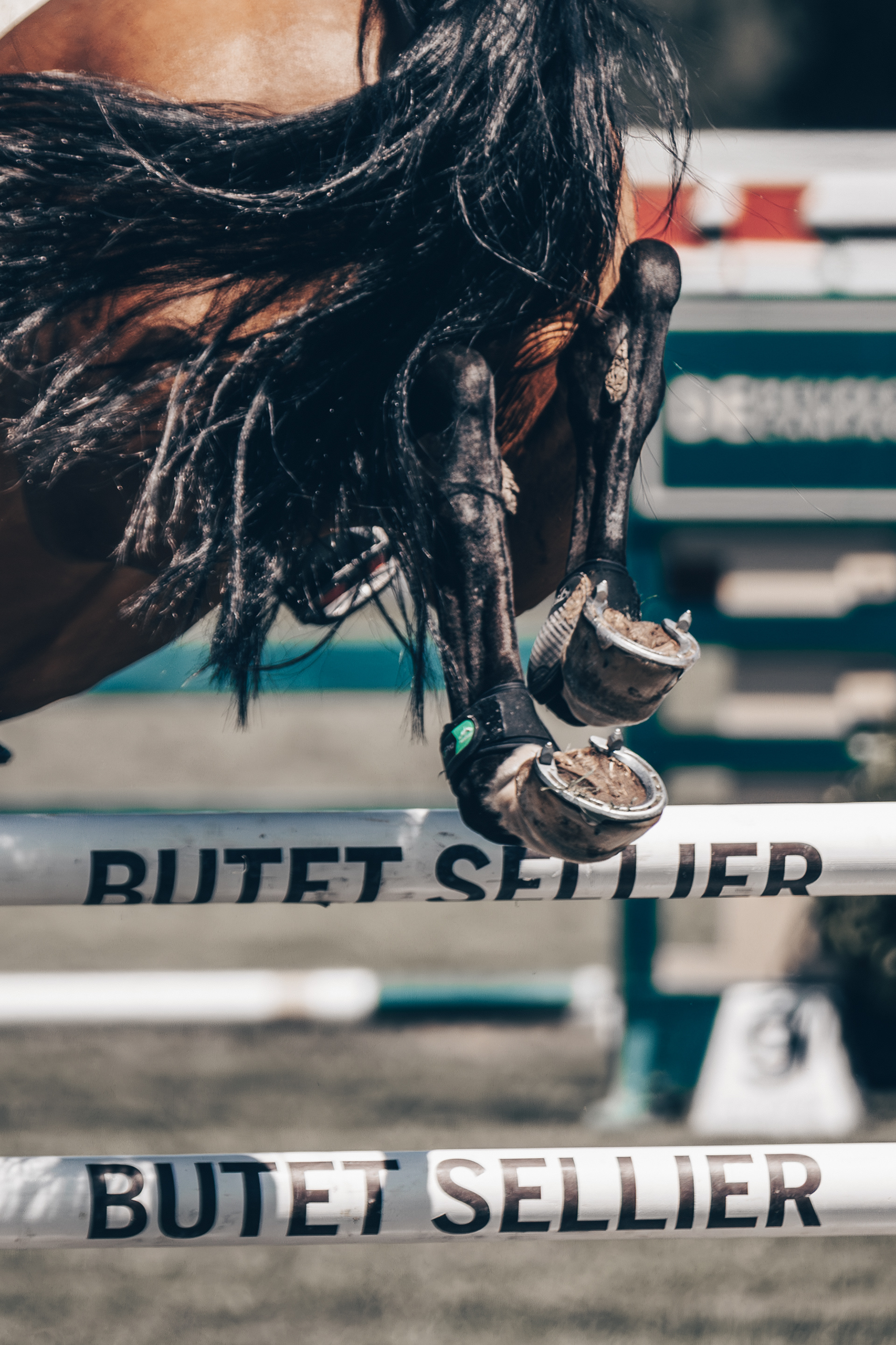 Chantilly Classic - Juillet 2025