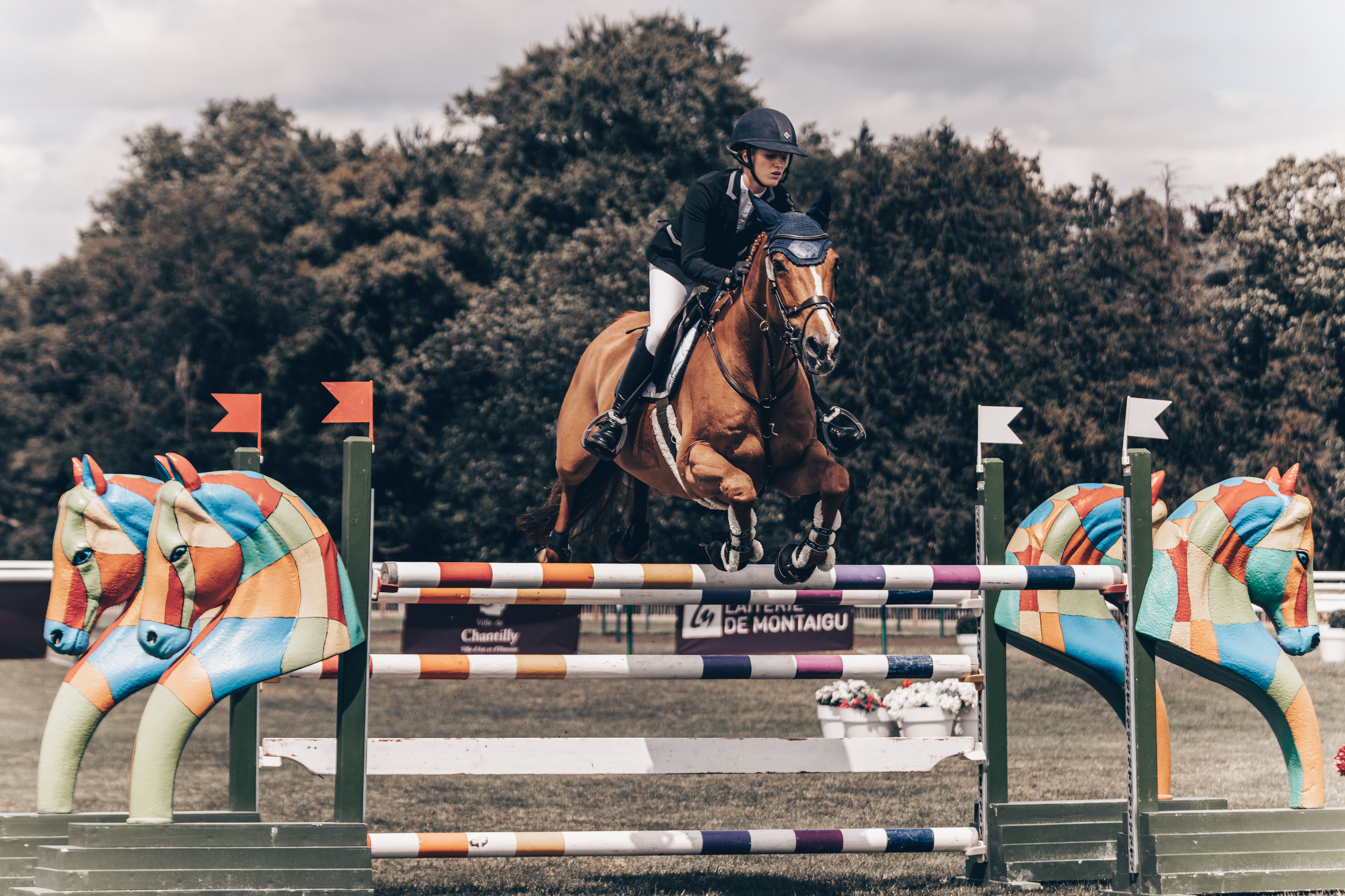 Alessandra Volpi x Gracieux du Pachis - Chantilly Classic 2024 - Chantilly - Juillet 2024