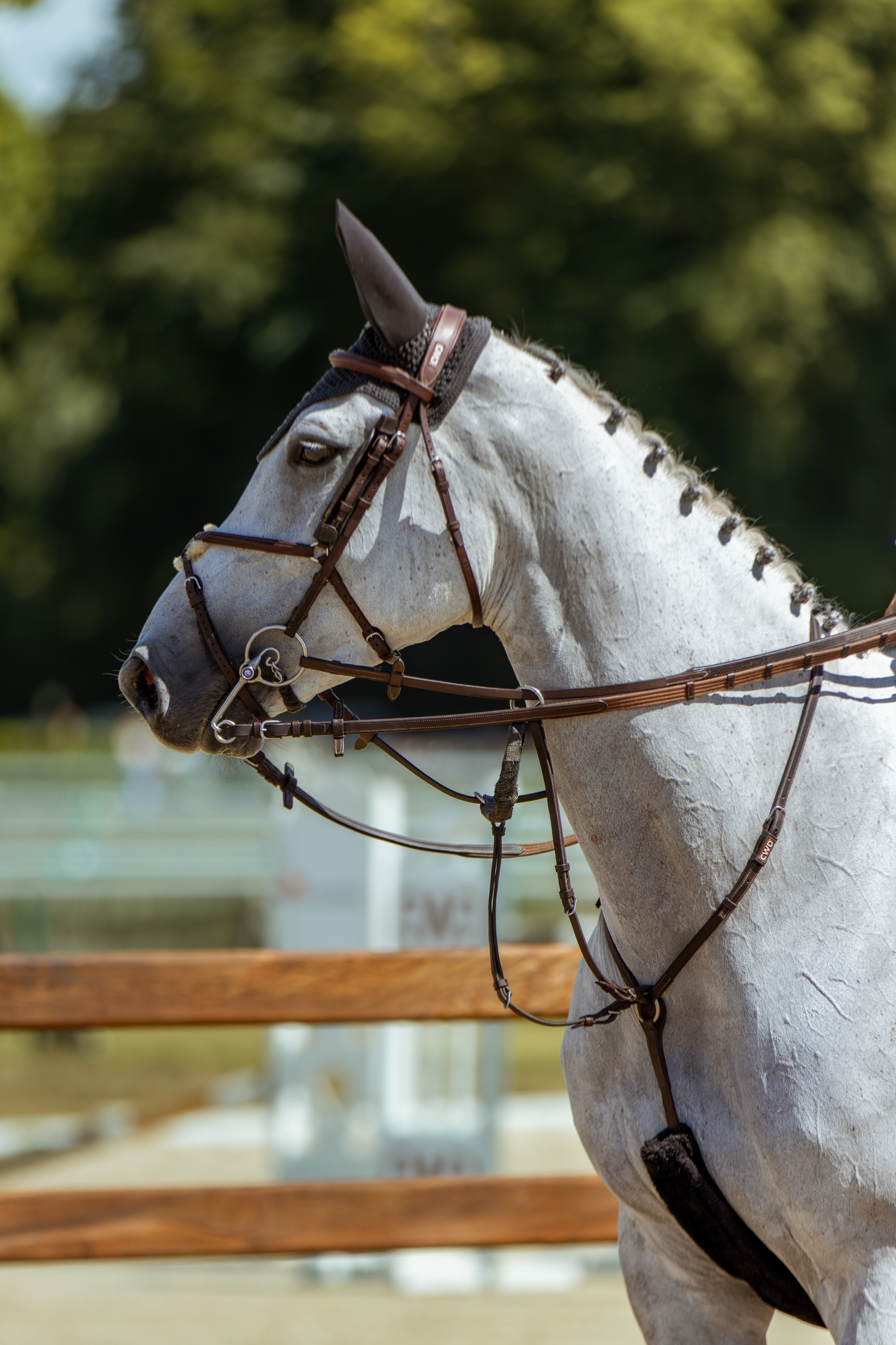 Chantilly Classic - Juillet 2025