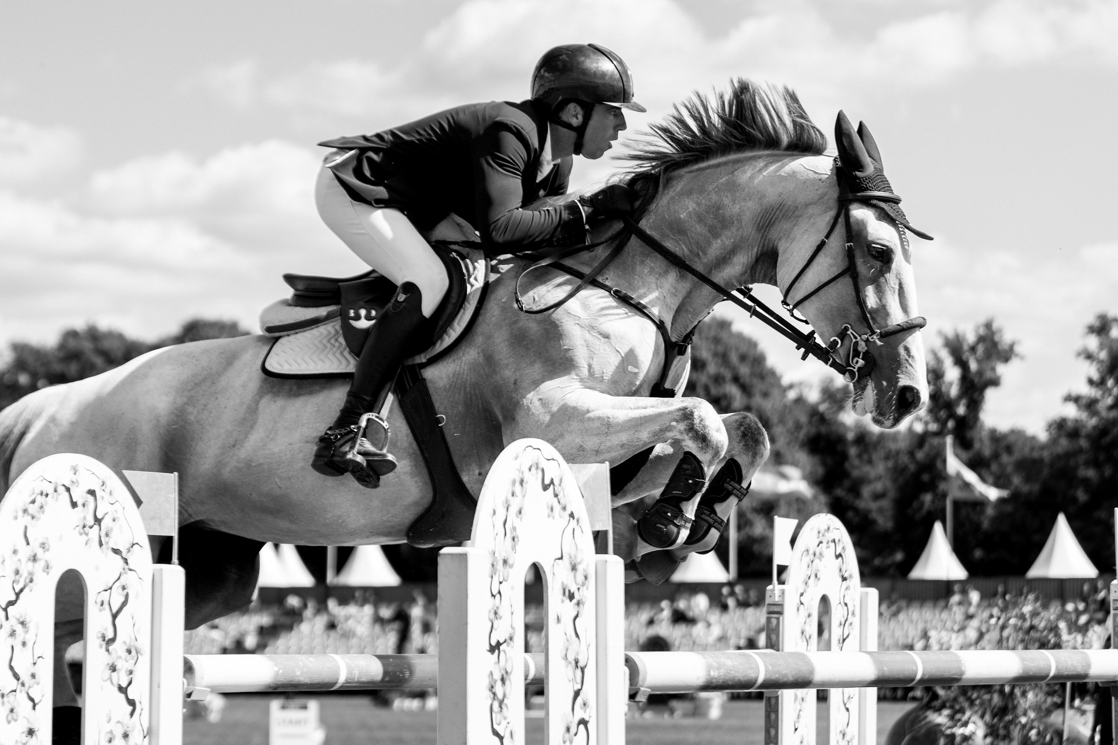 Chantilly Classic - Juillet 2025