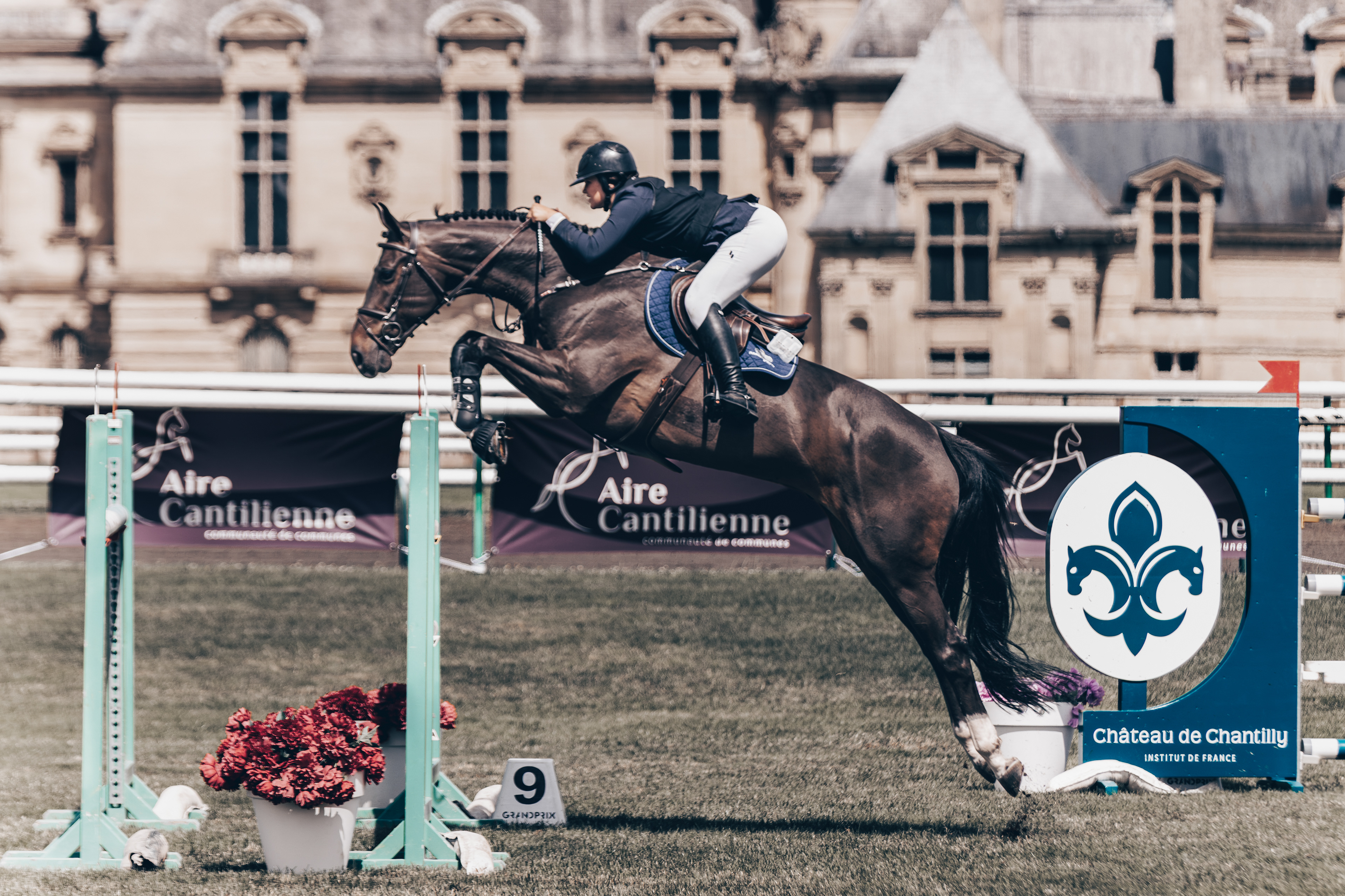 Chantilly Classic 2024 - Chantilly - Juillet 2024