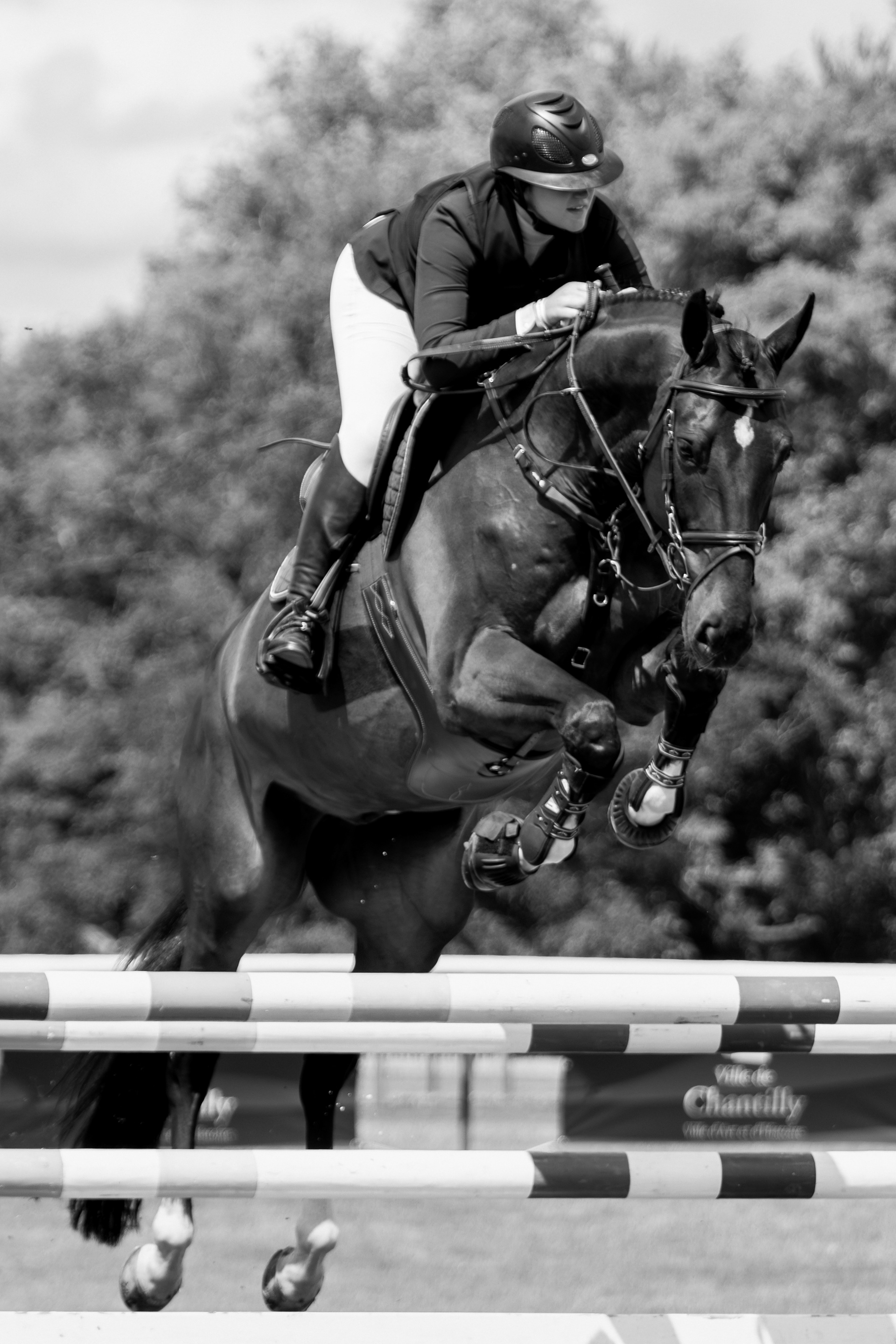 Chantilly Classic 2024 - Chantilly - Juillet 2024