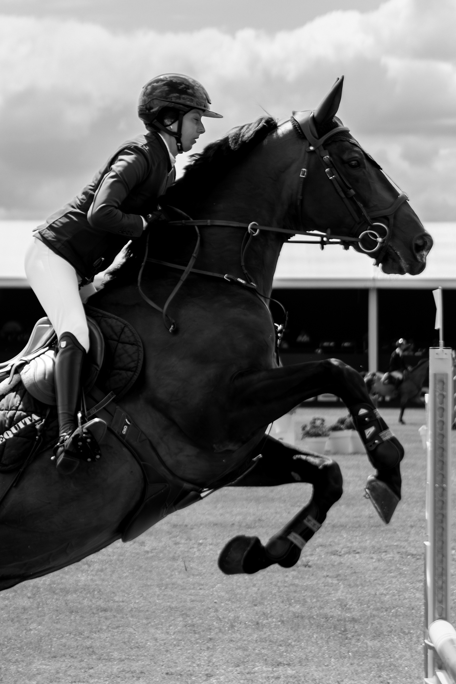 Chantilly Classic 2024 - Chantilly - Juillet 2024