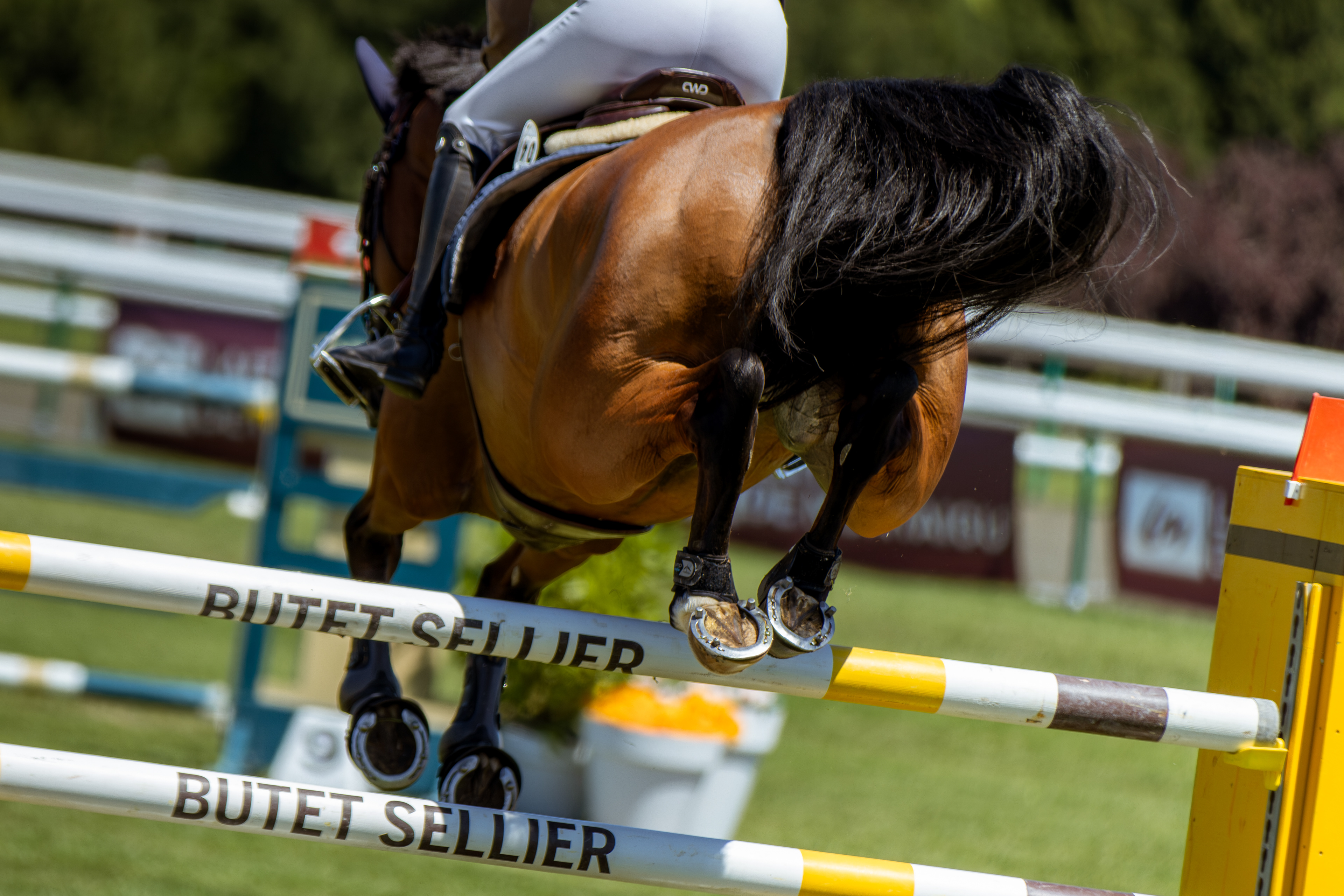 Chantilly Classic - Juillet 2025