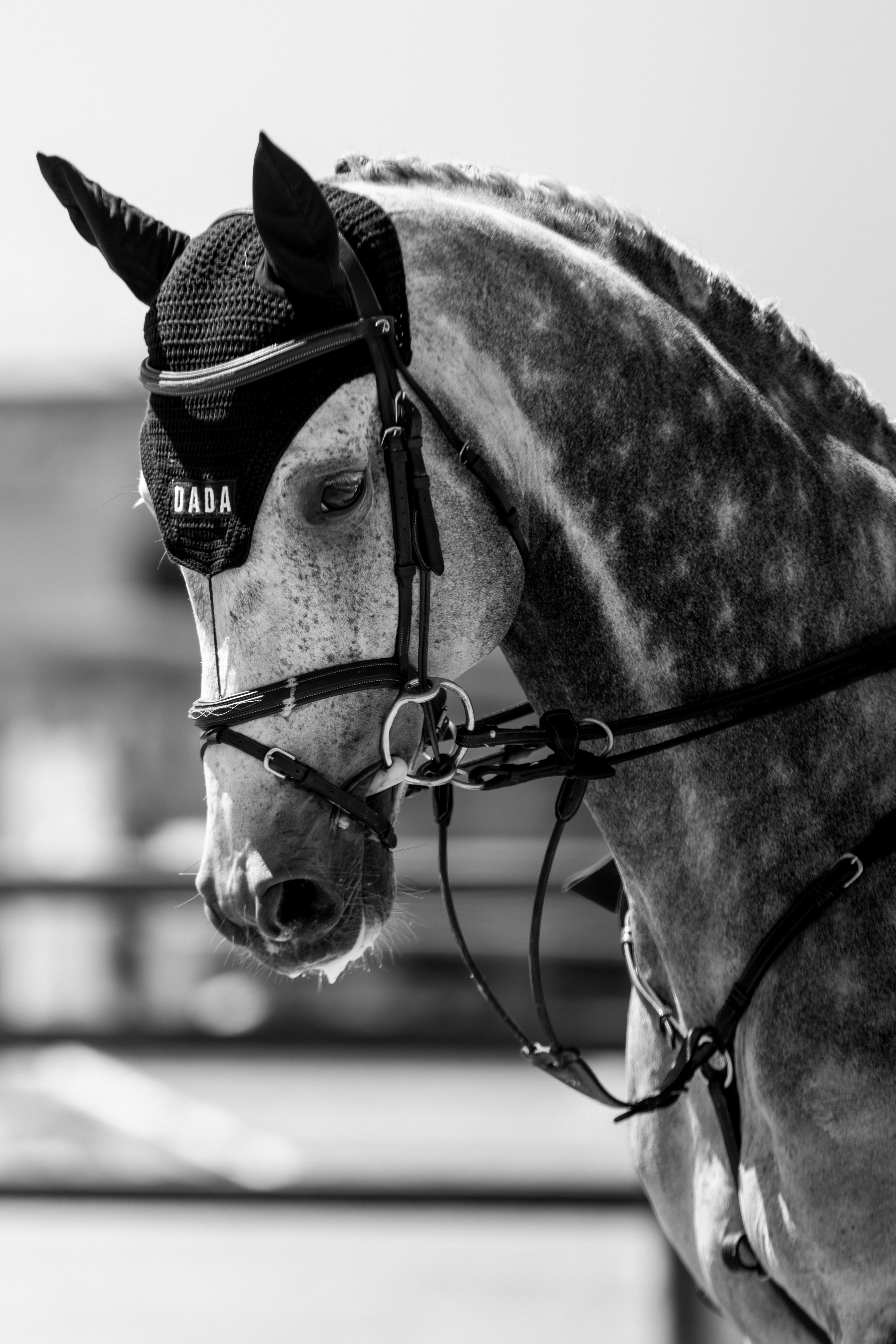 Cascos - Chantilly Classic - Juillet 2025