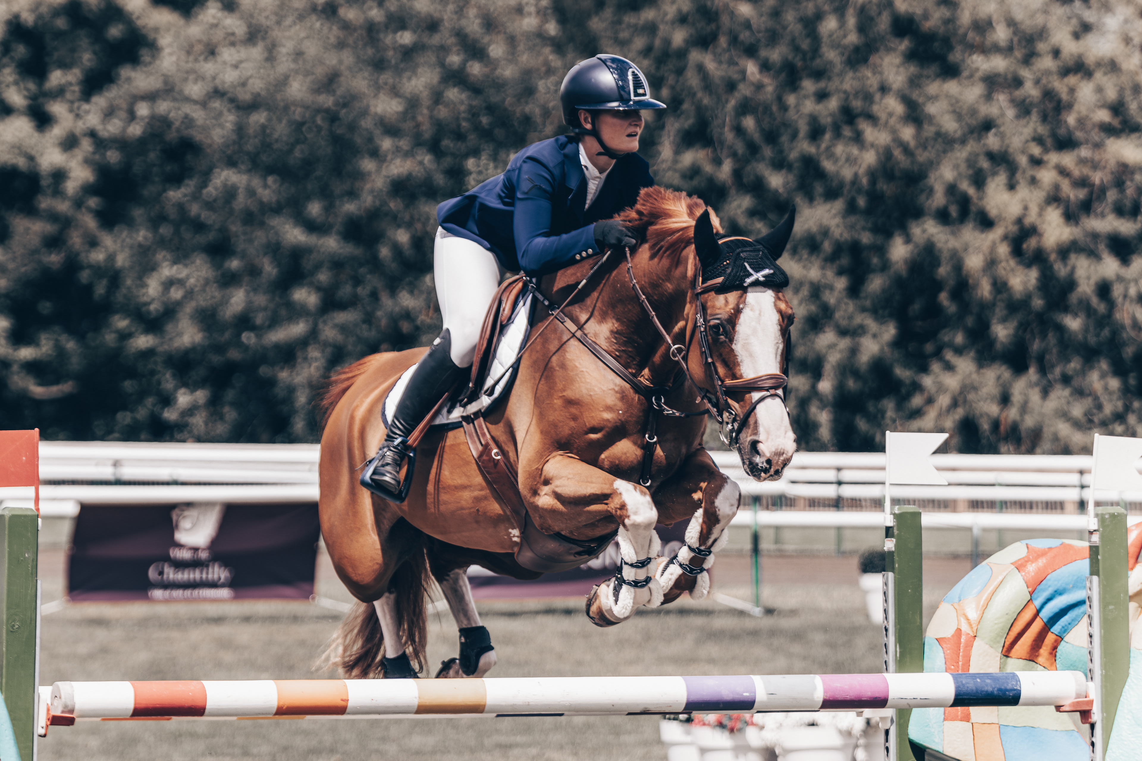 Chantilly Classic 2024 - Chantilly - Juillet 2024