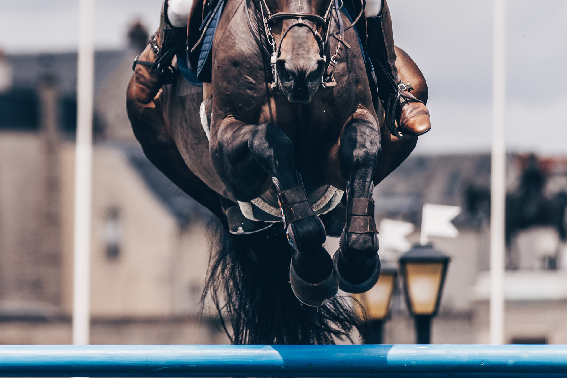 Chantilly Classic 2024 - Chantilly - Juillet 2024