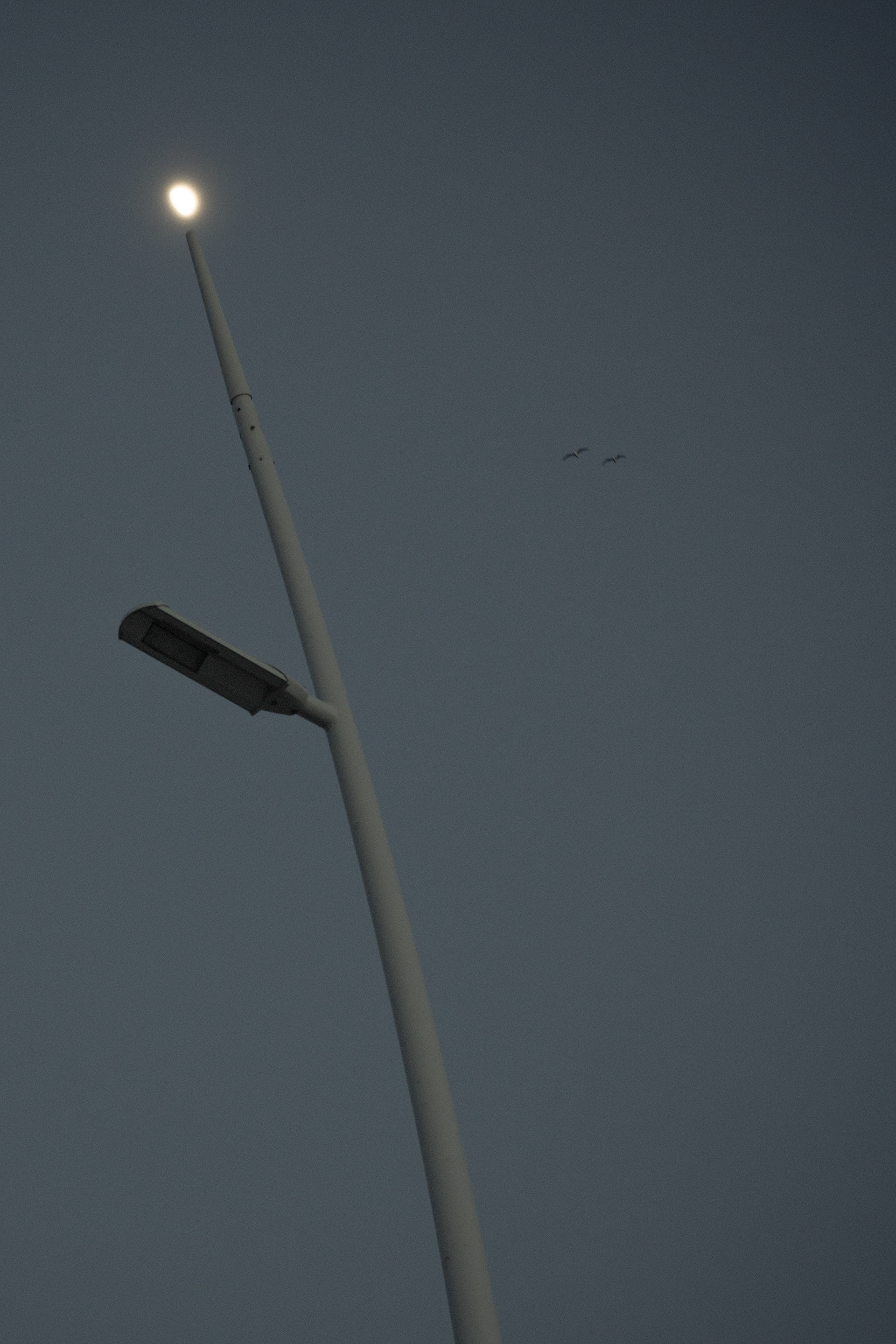 Torch